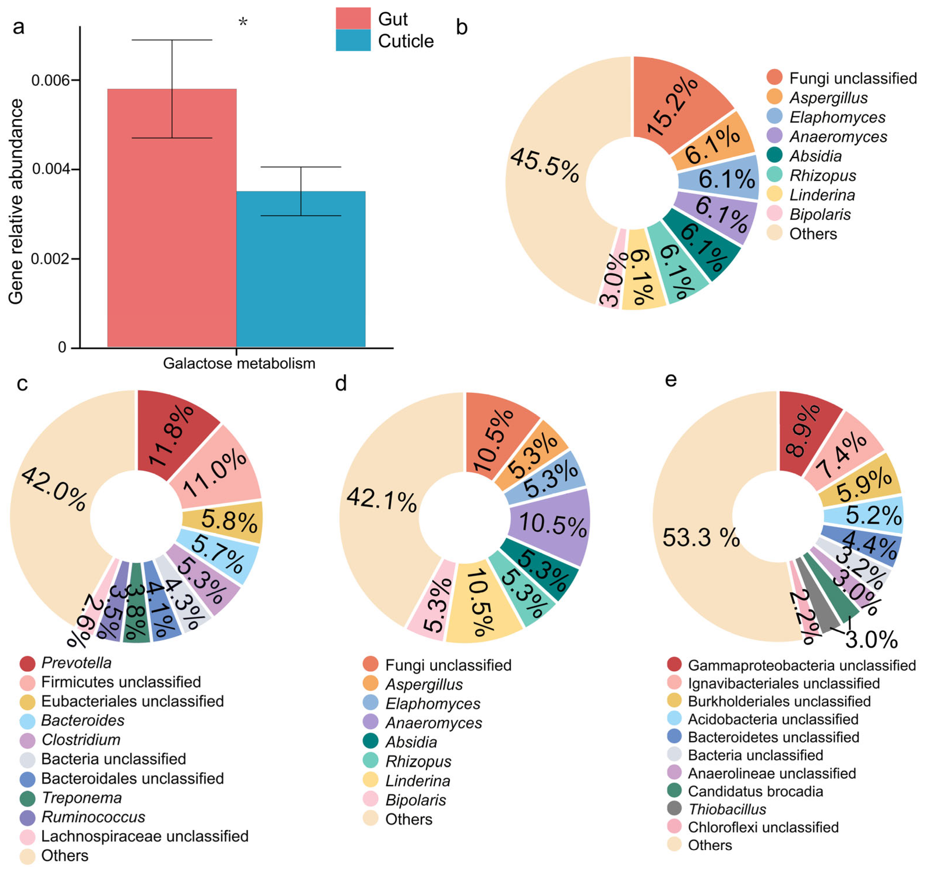 Forests 16 01584 g003