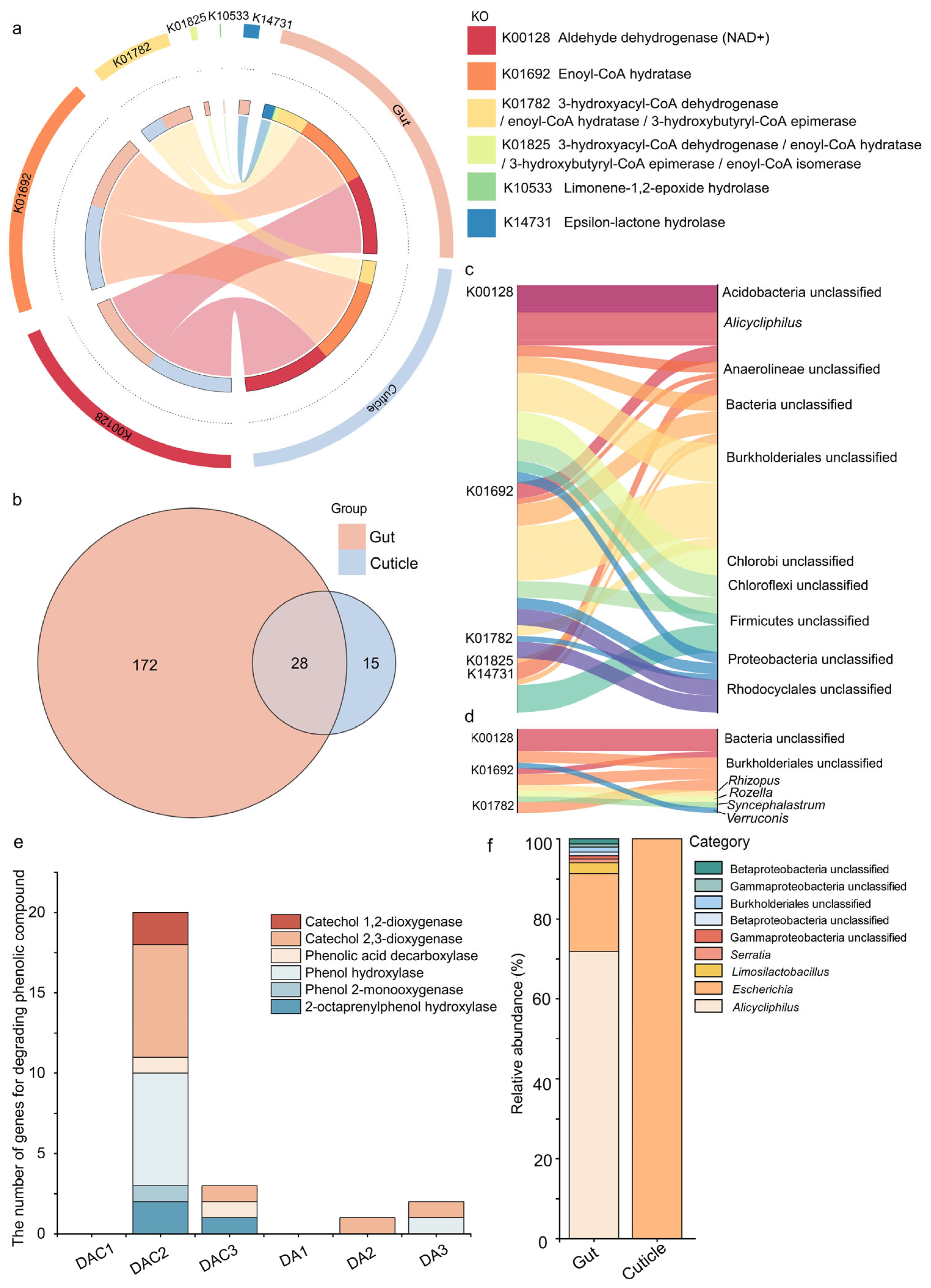 Forests 16 01584 g004