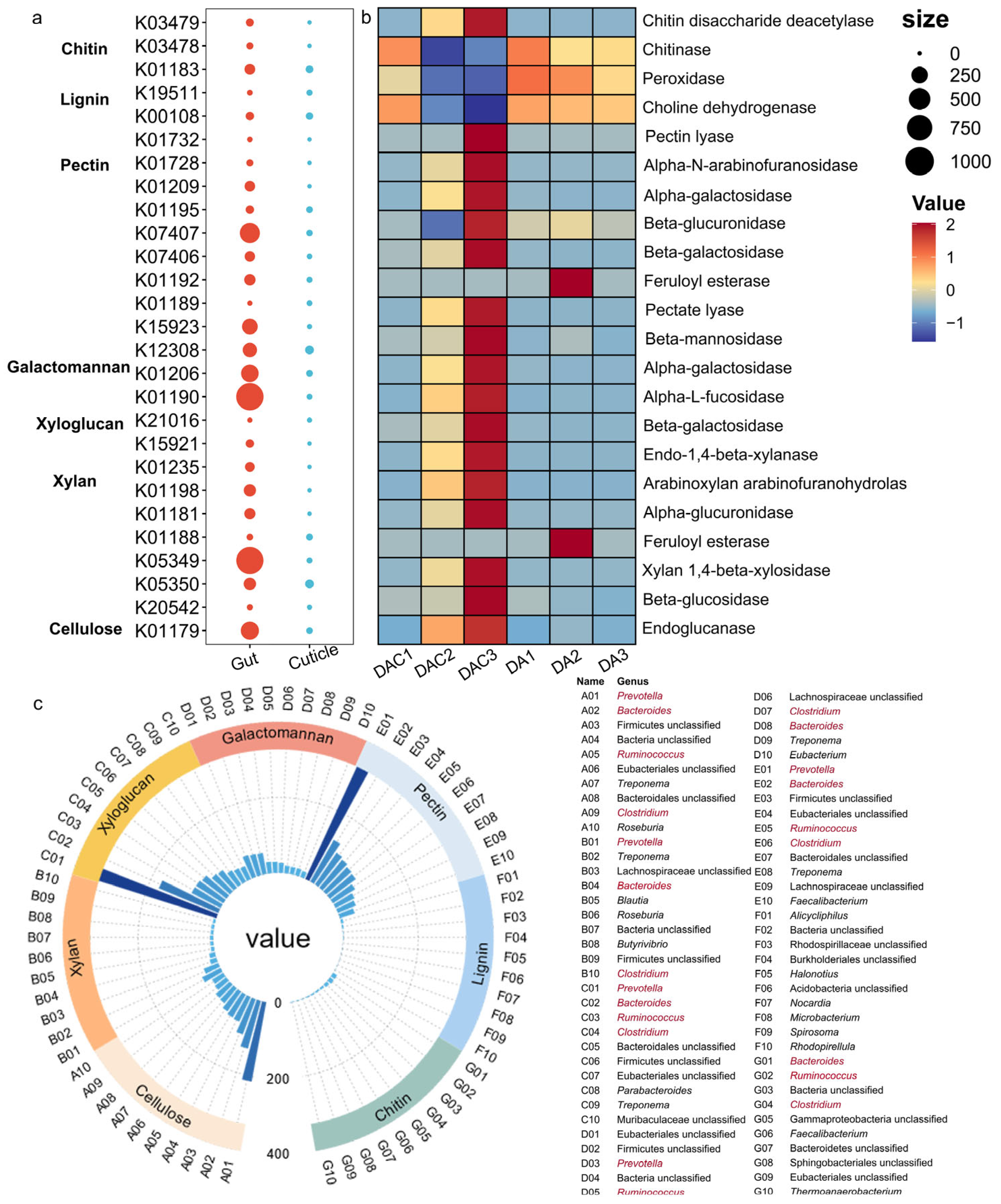 Forests 16 01584 g005
