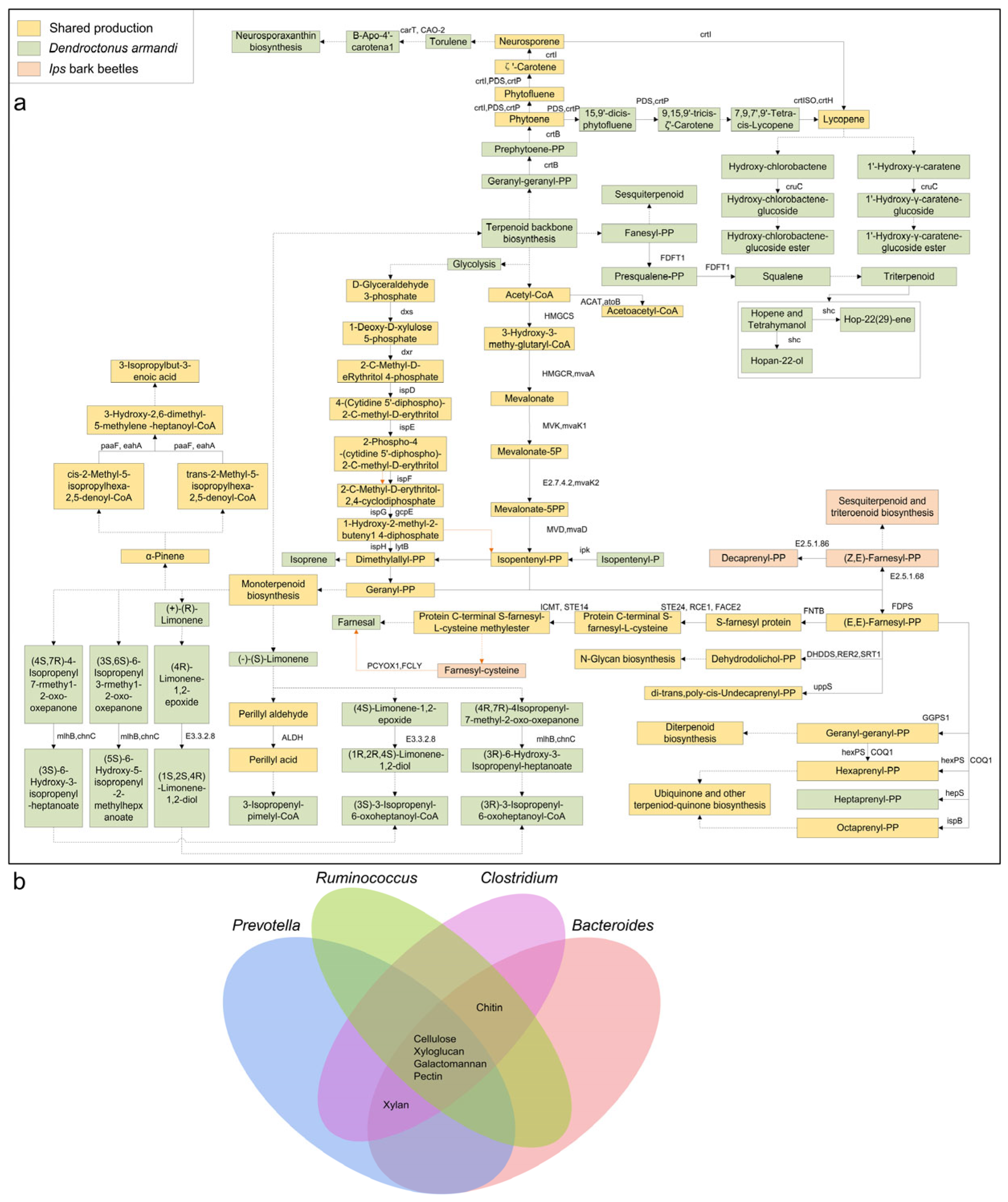 Forests 16 01584 g006