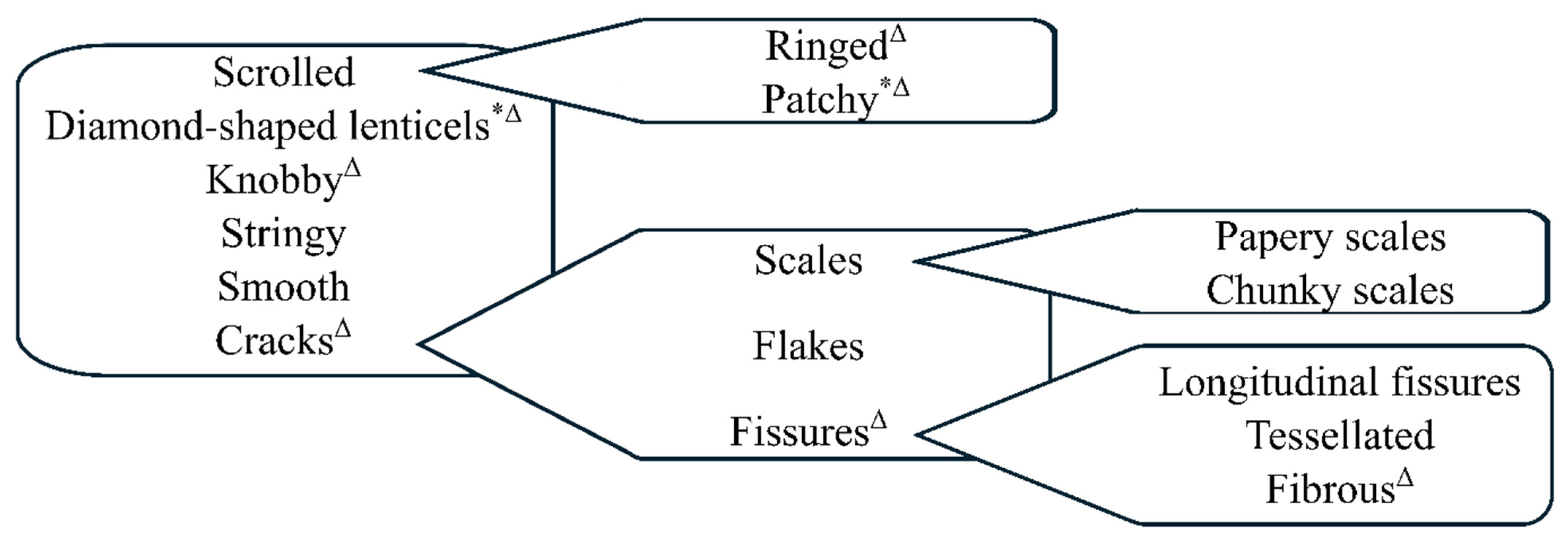 Forests 16 01586 g001 Forests 16 01586 g001