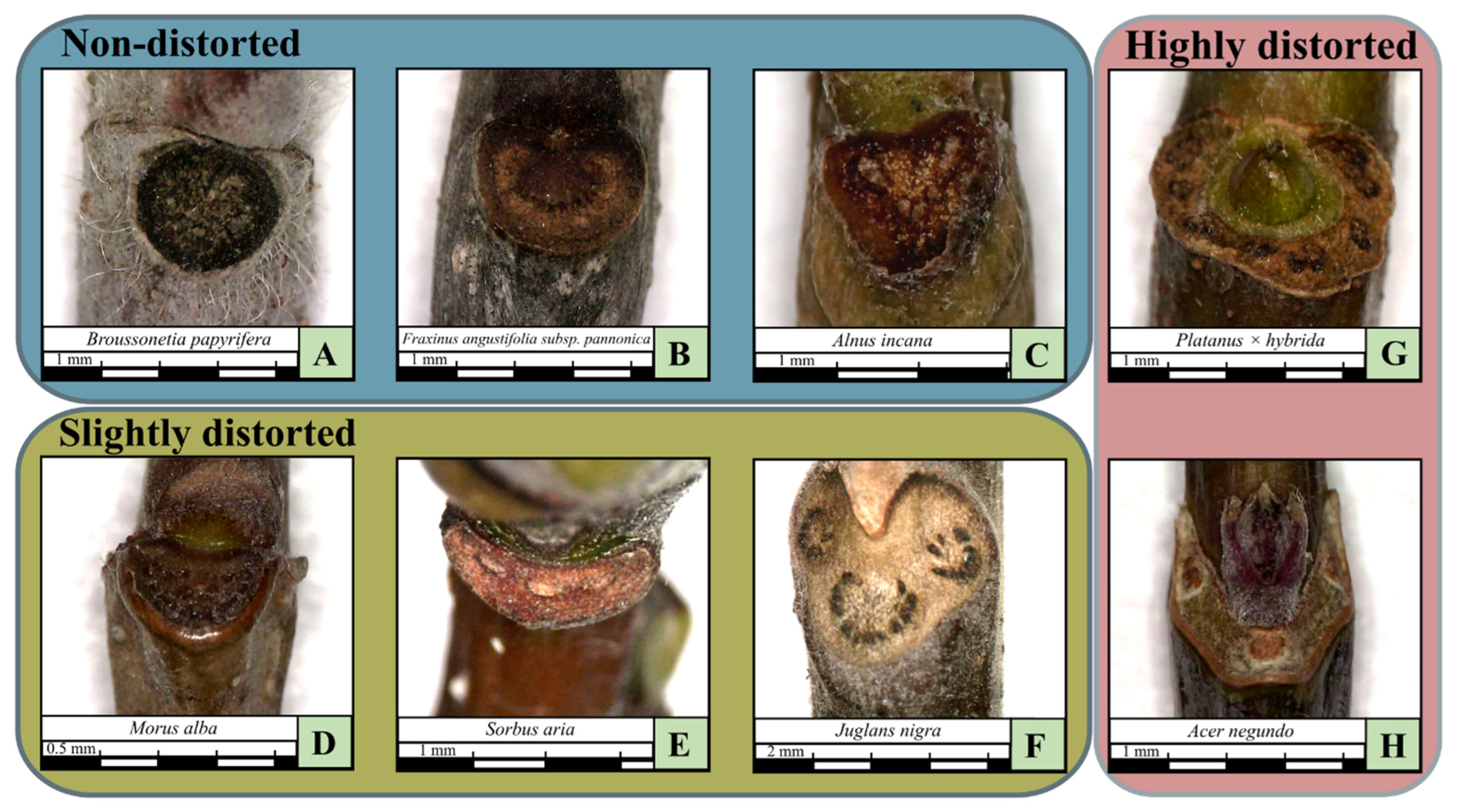 Forests 16 01586 g003 Forests 16 01586 g003