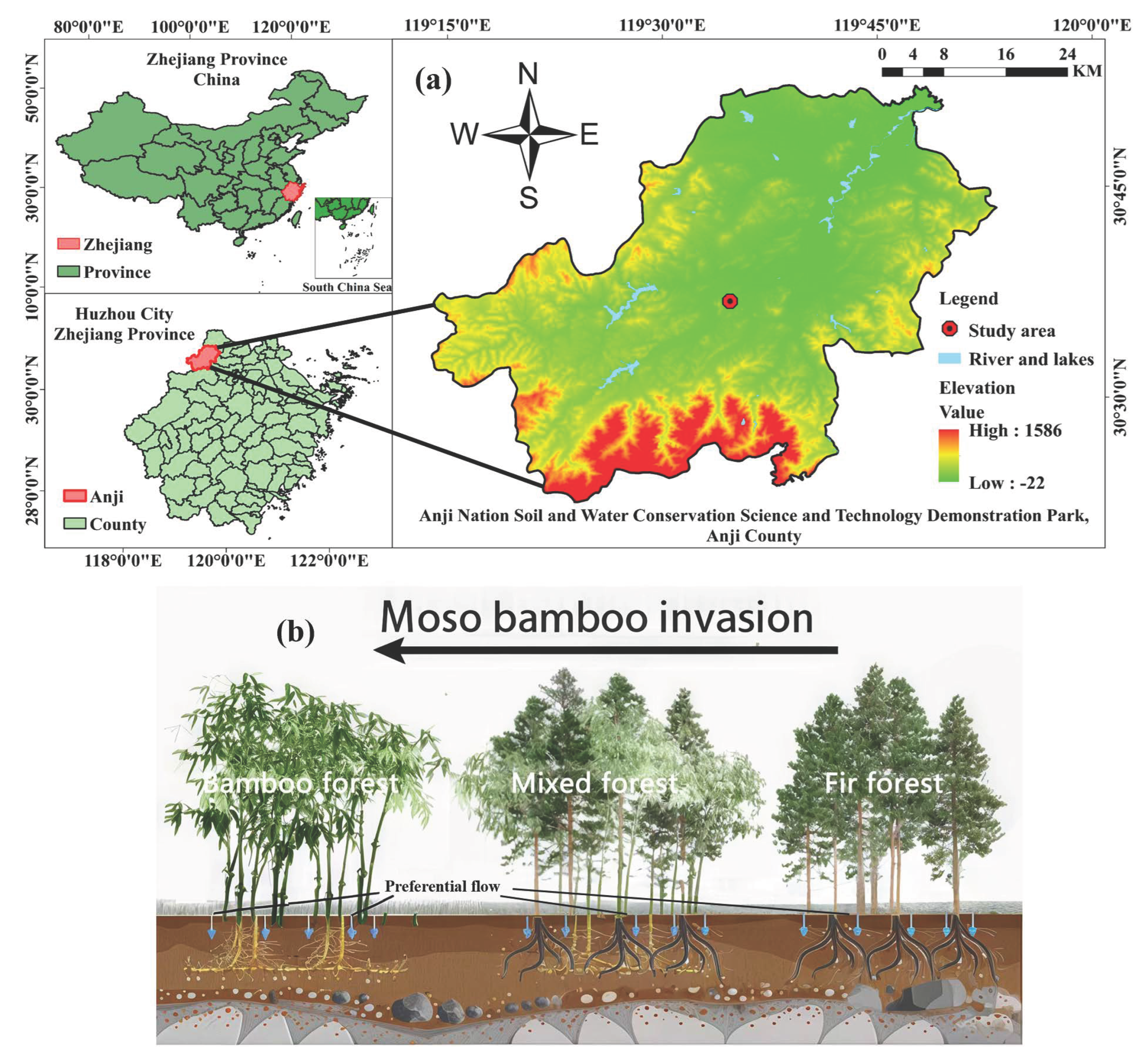 Forests 16 01589 g001 Forests 16 01589 g001