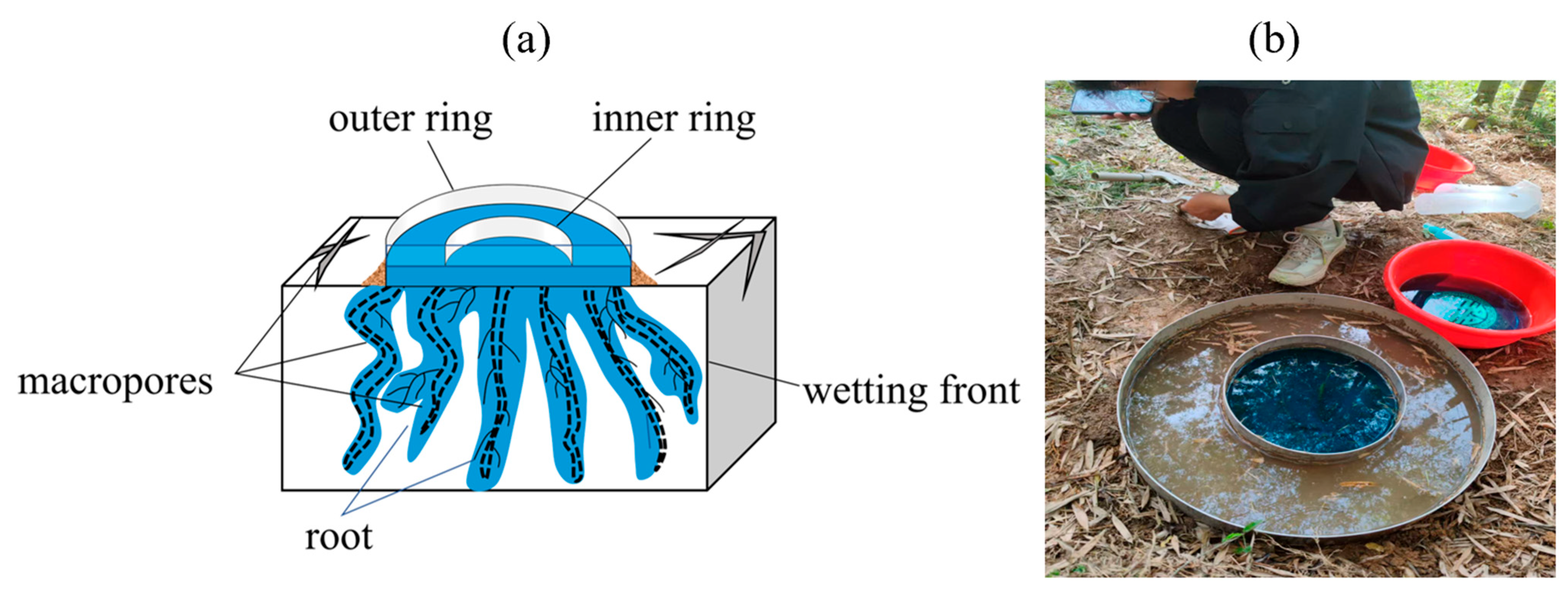 Forests 16 01589 g002 Forests 16 01589 g002