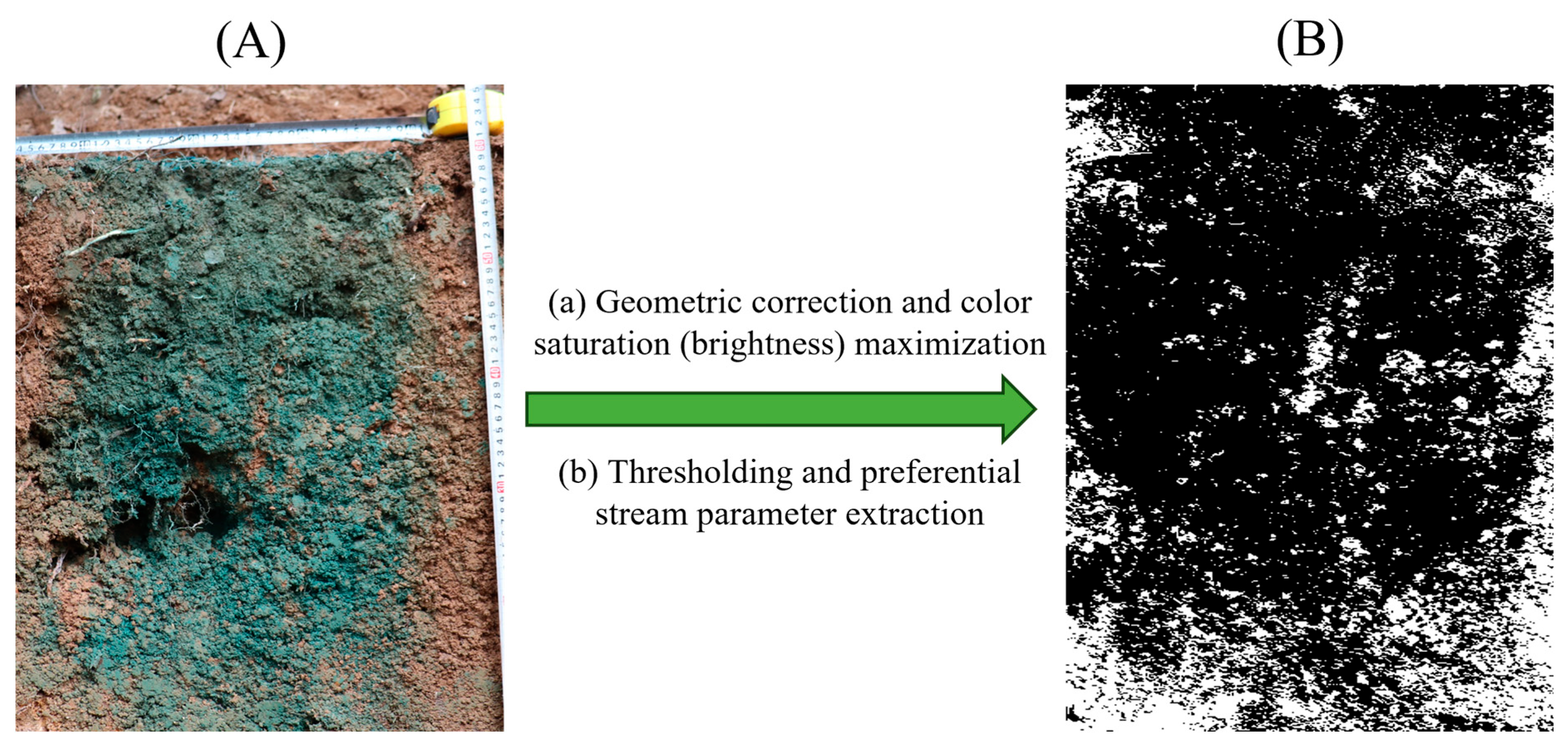 Forests 16 01589 g003 Forests 16 01589 g003