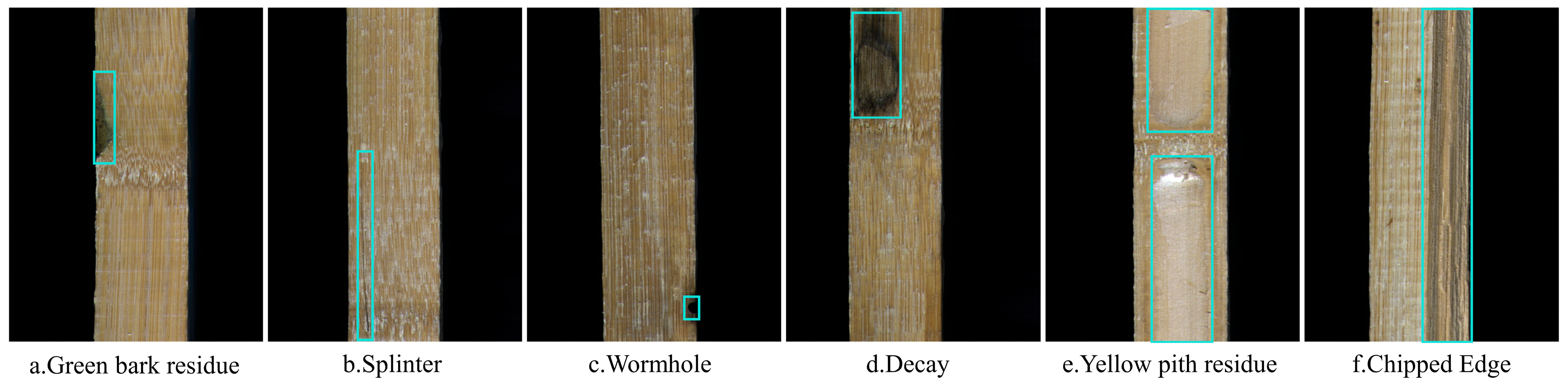 Forests 16 01595 g002