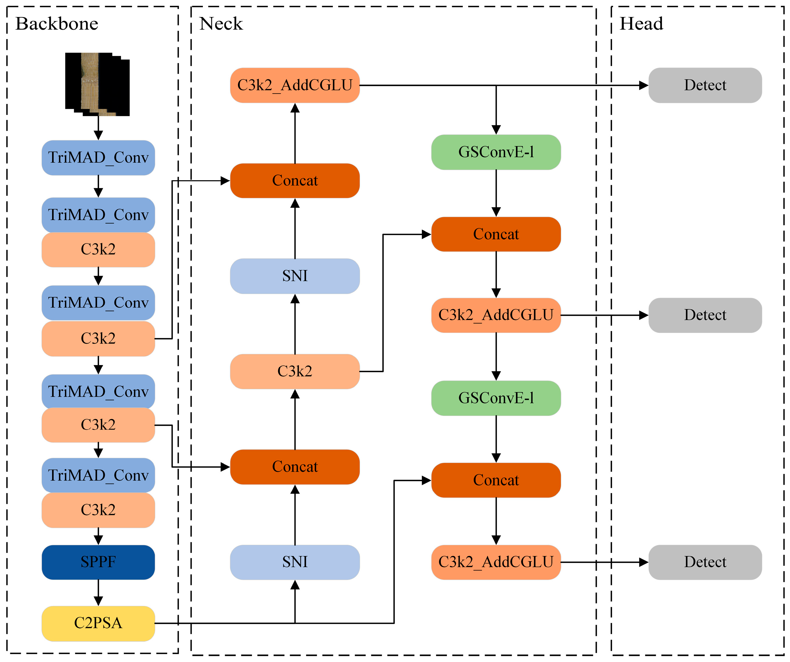 Forests 16 01595 g004
