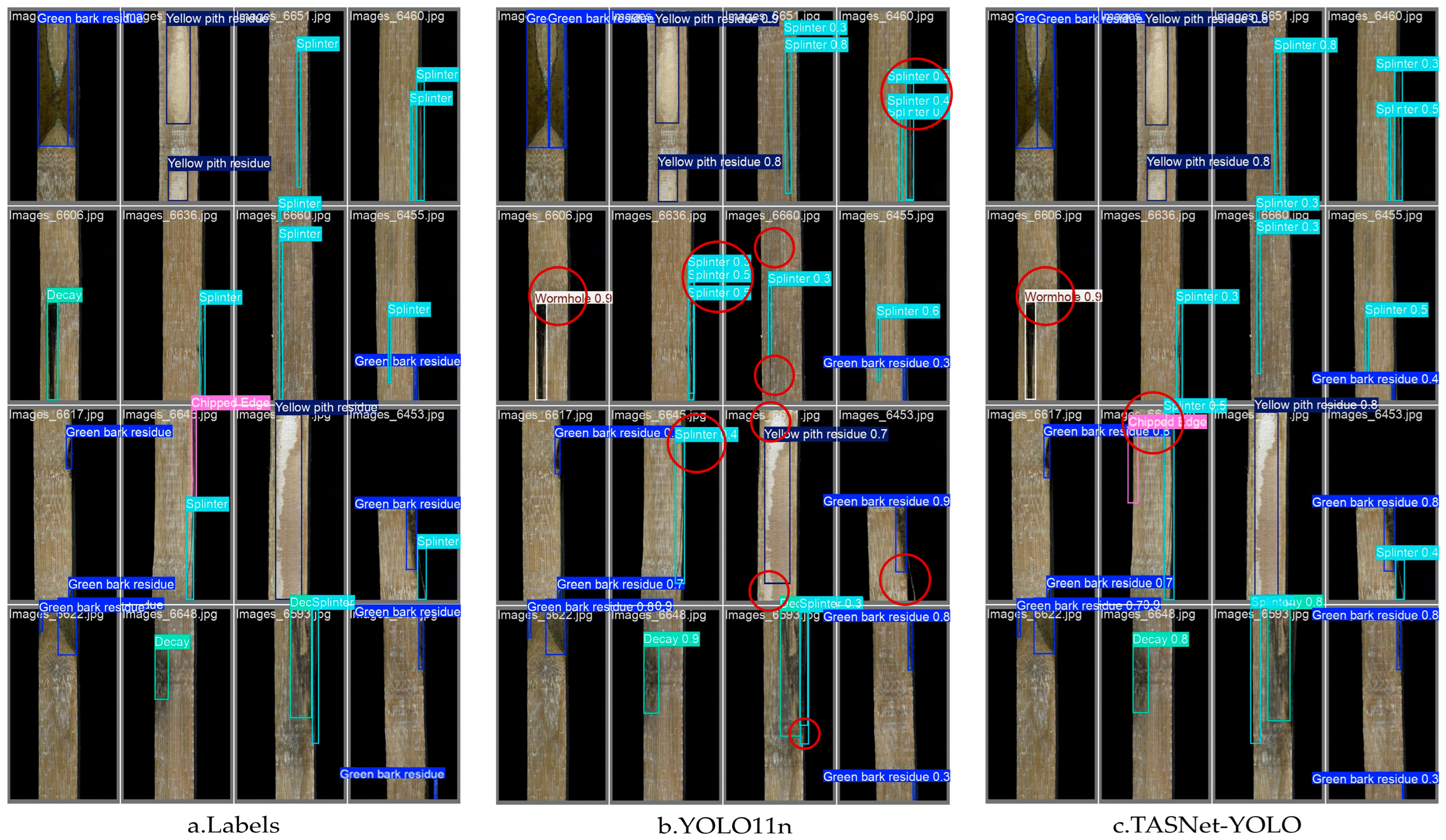 Forests 16 01595 g011