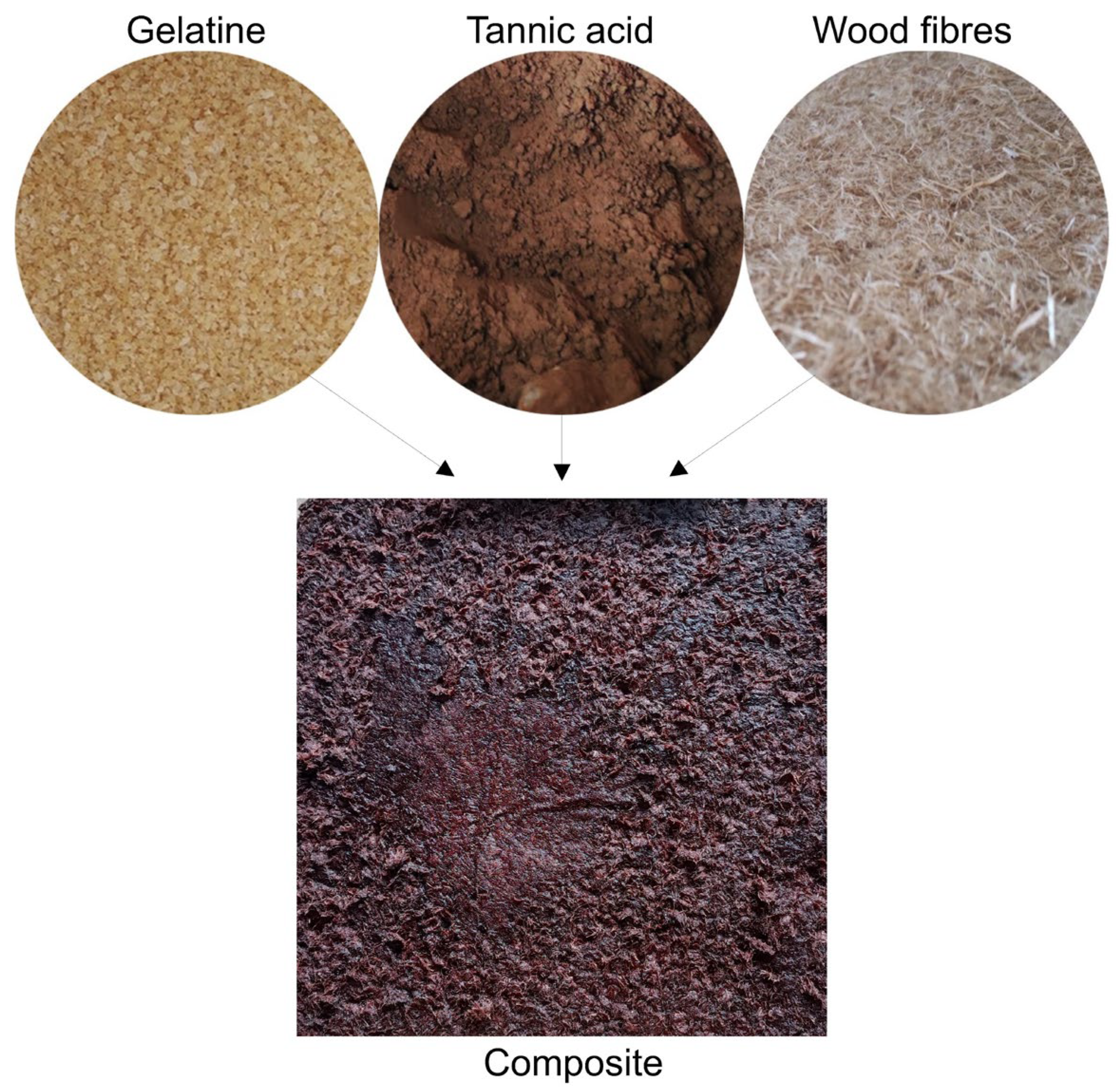 Forests 16 01597 g001