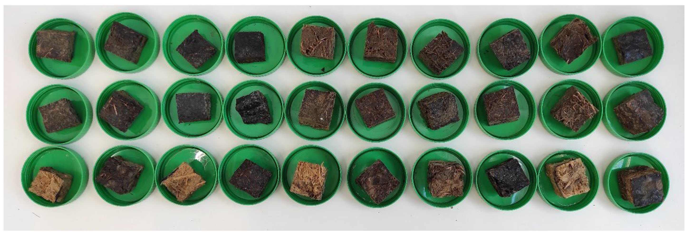 Forests 16 01597 g005