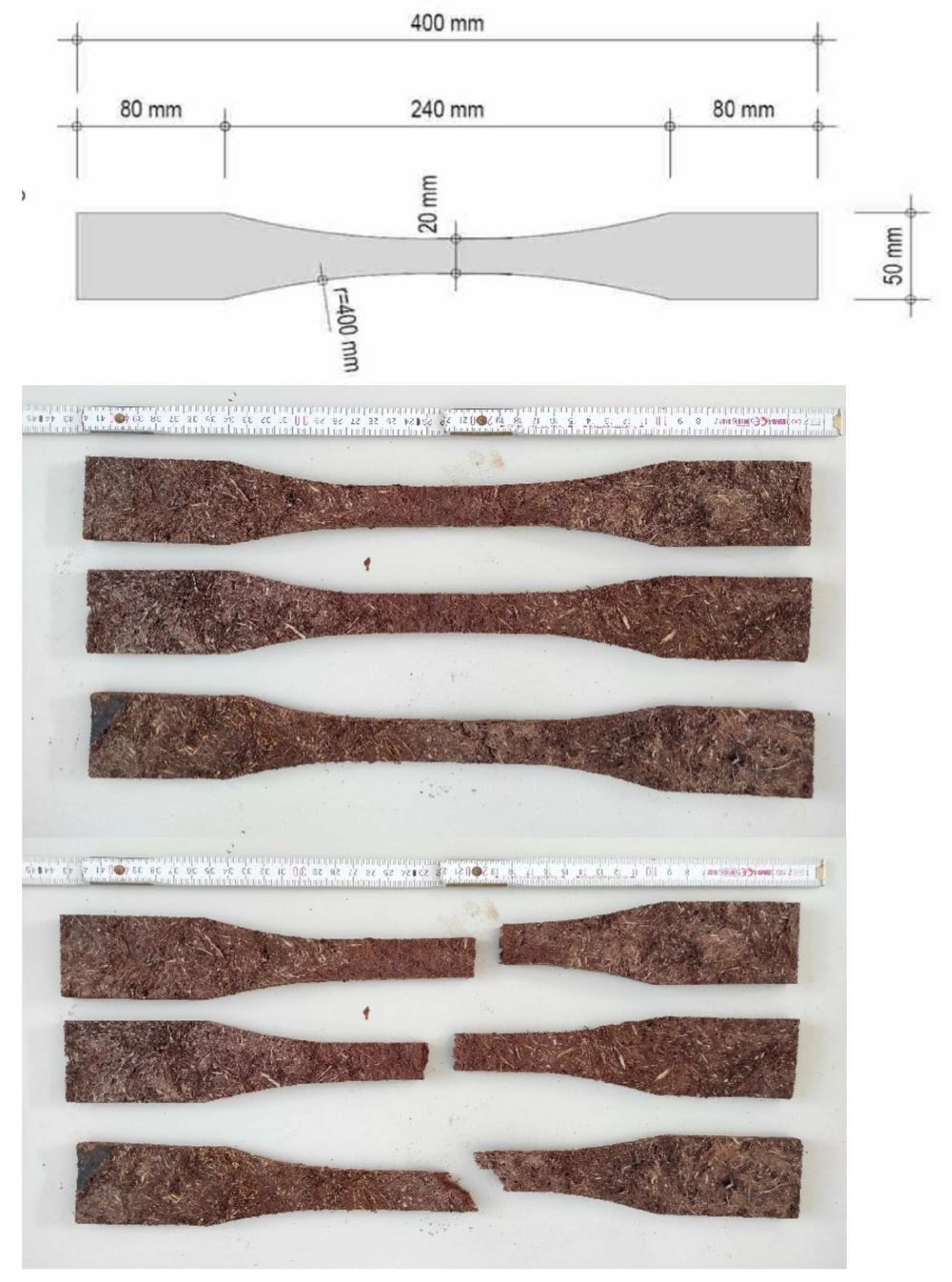 Forests 16 01597 g007