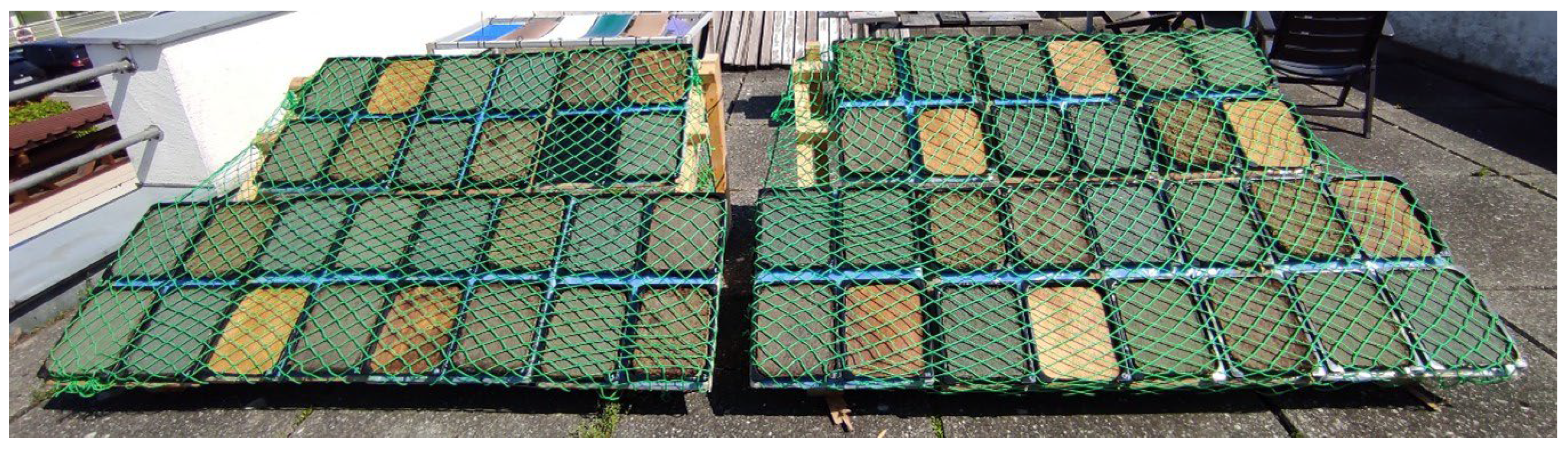 Forests 16 01597 g009