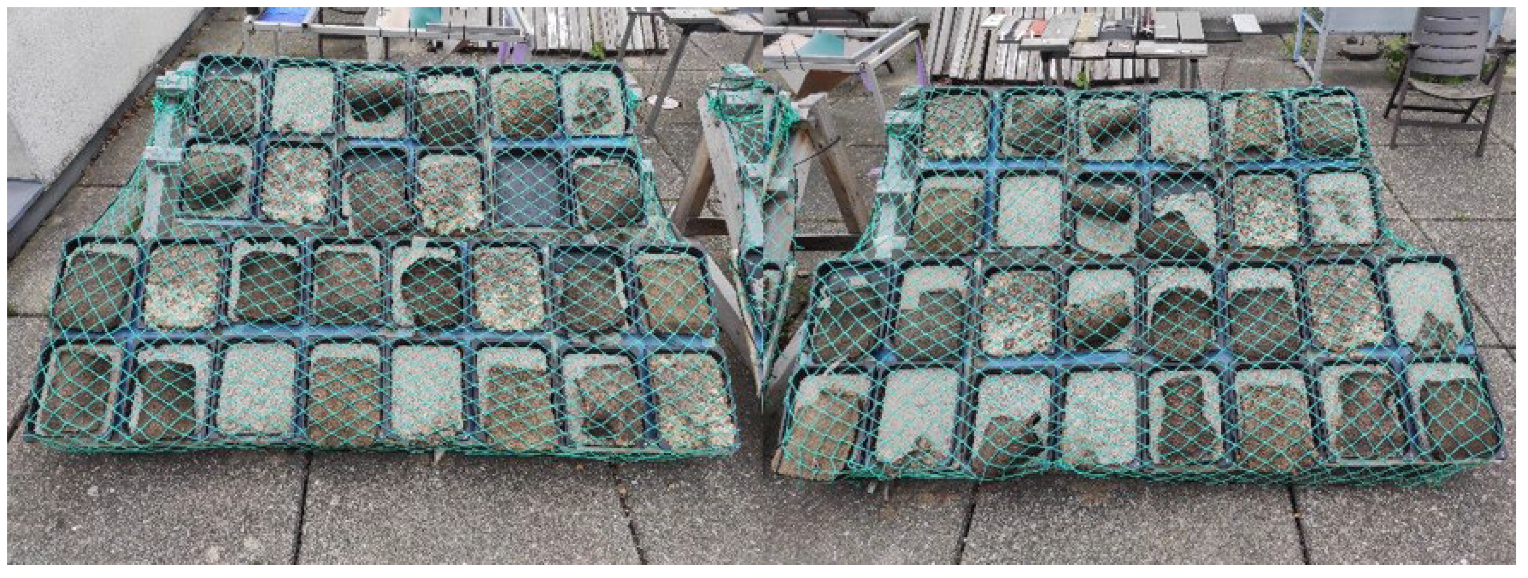 Forests 16 01597 g010