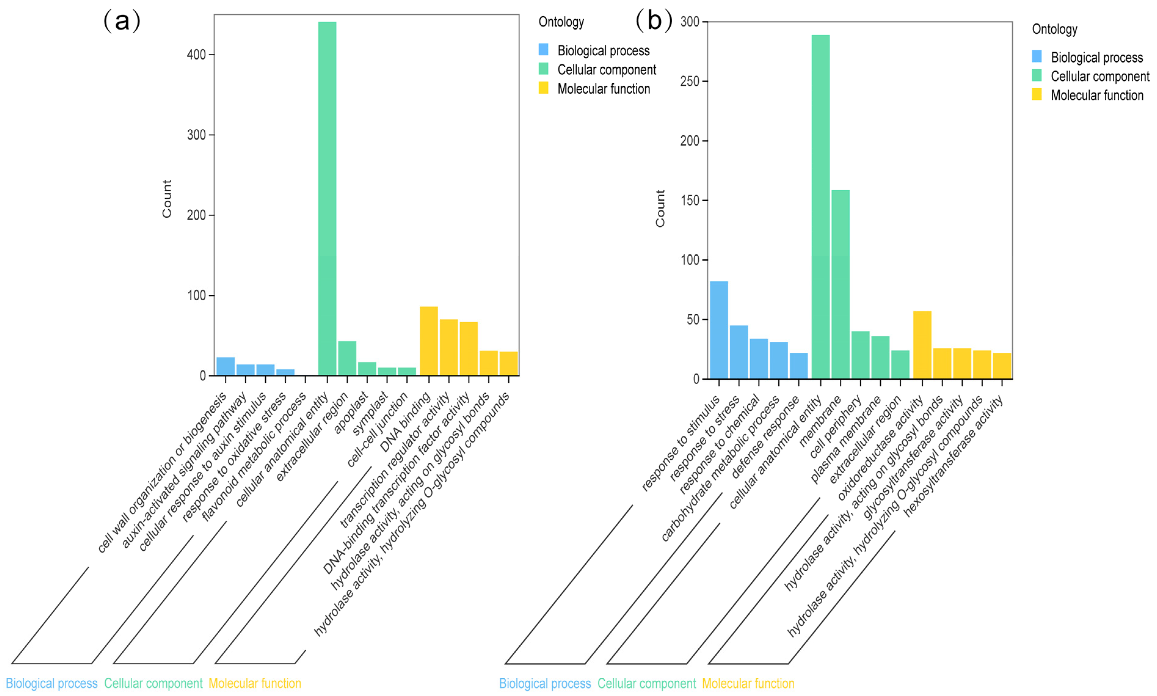 Forests 16 01598 g003 Forests 16 01598 g003