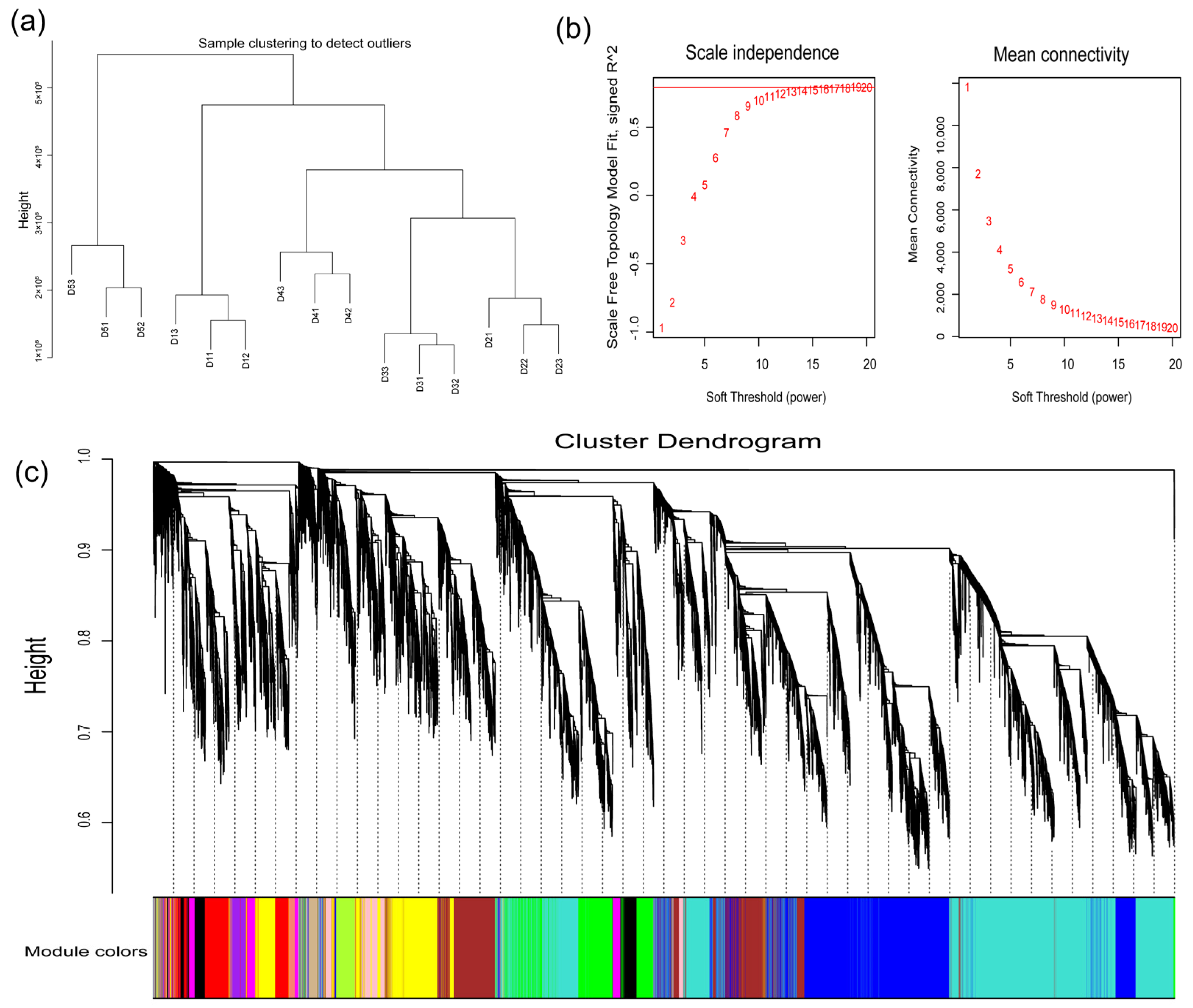 Forests 16 01598 g007 Forests 16 01598 g007