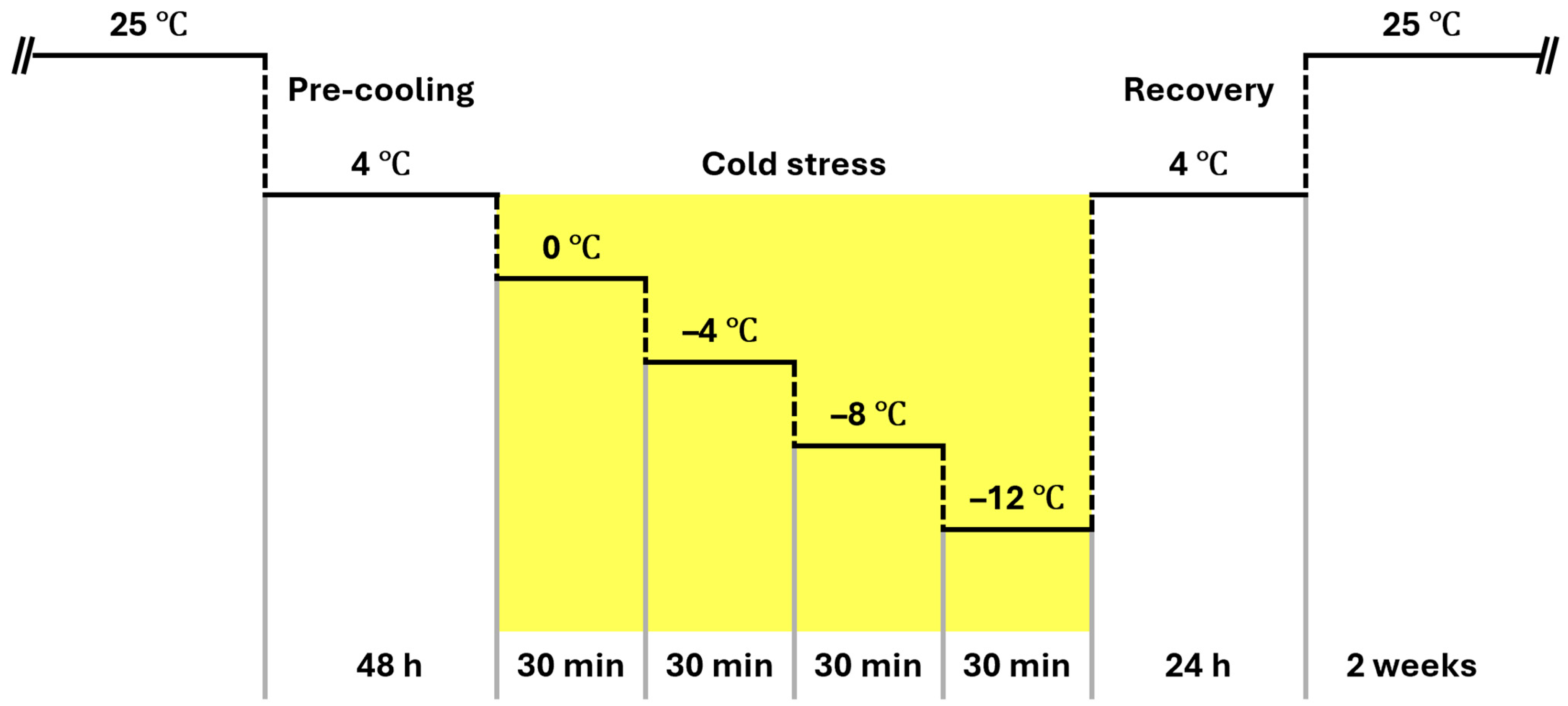 Forests 16 01601 g001