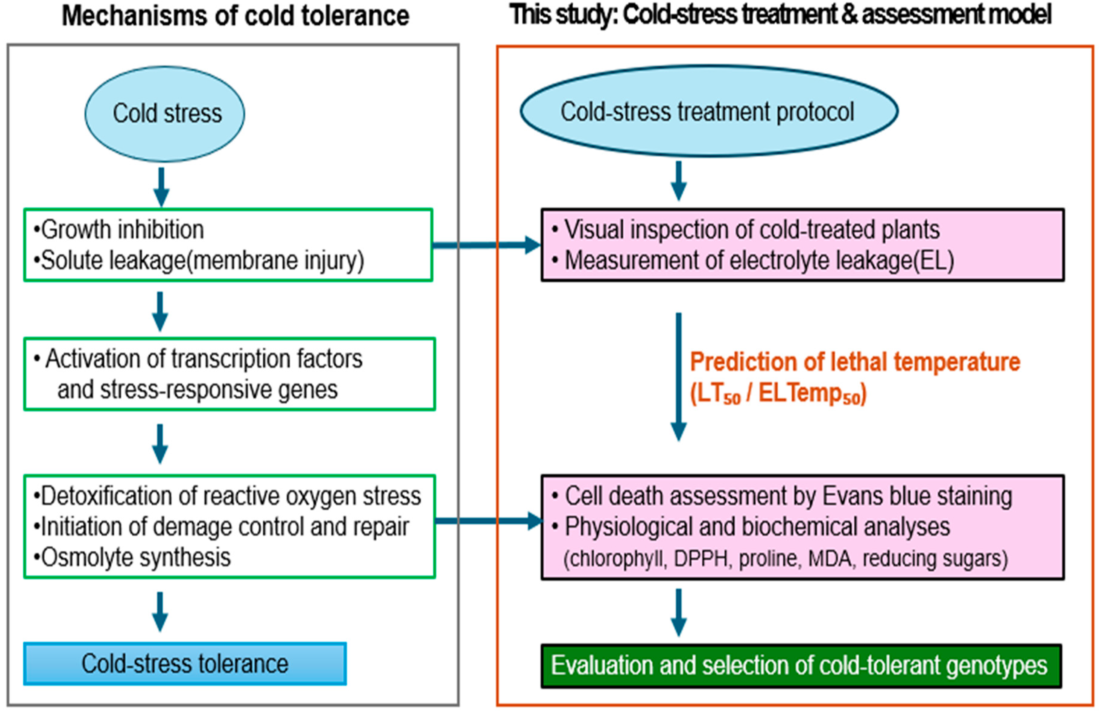 Forests 16 01601 g010