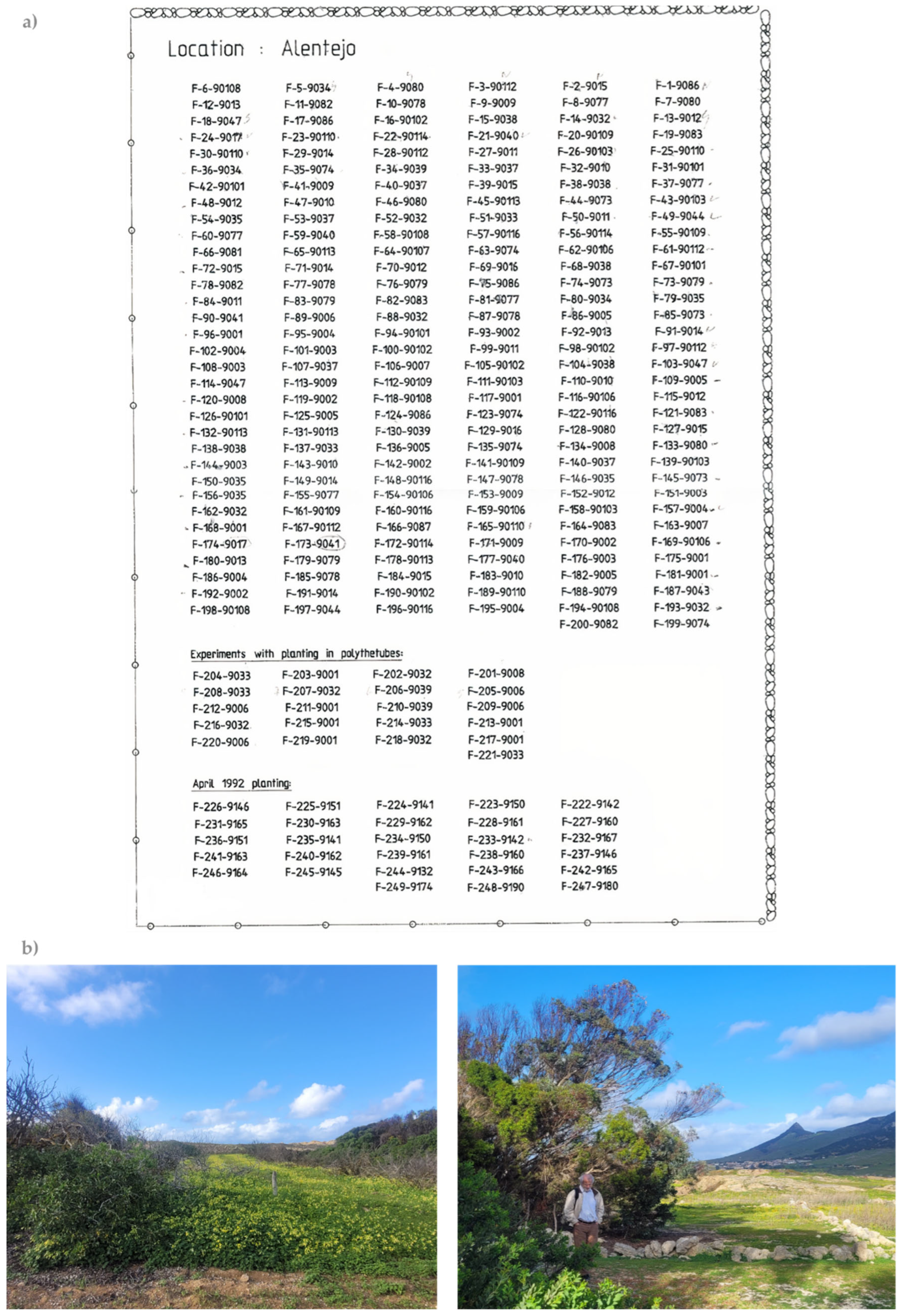 Forests 16 01605 g004