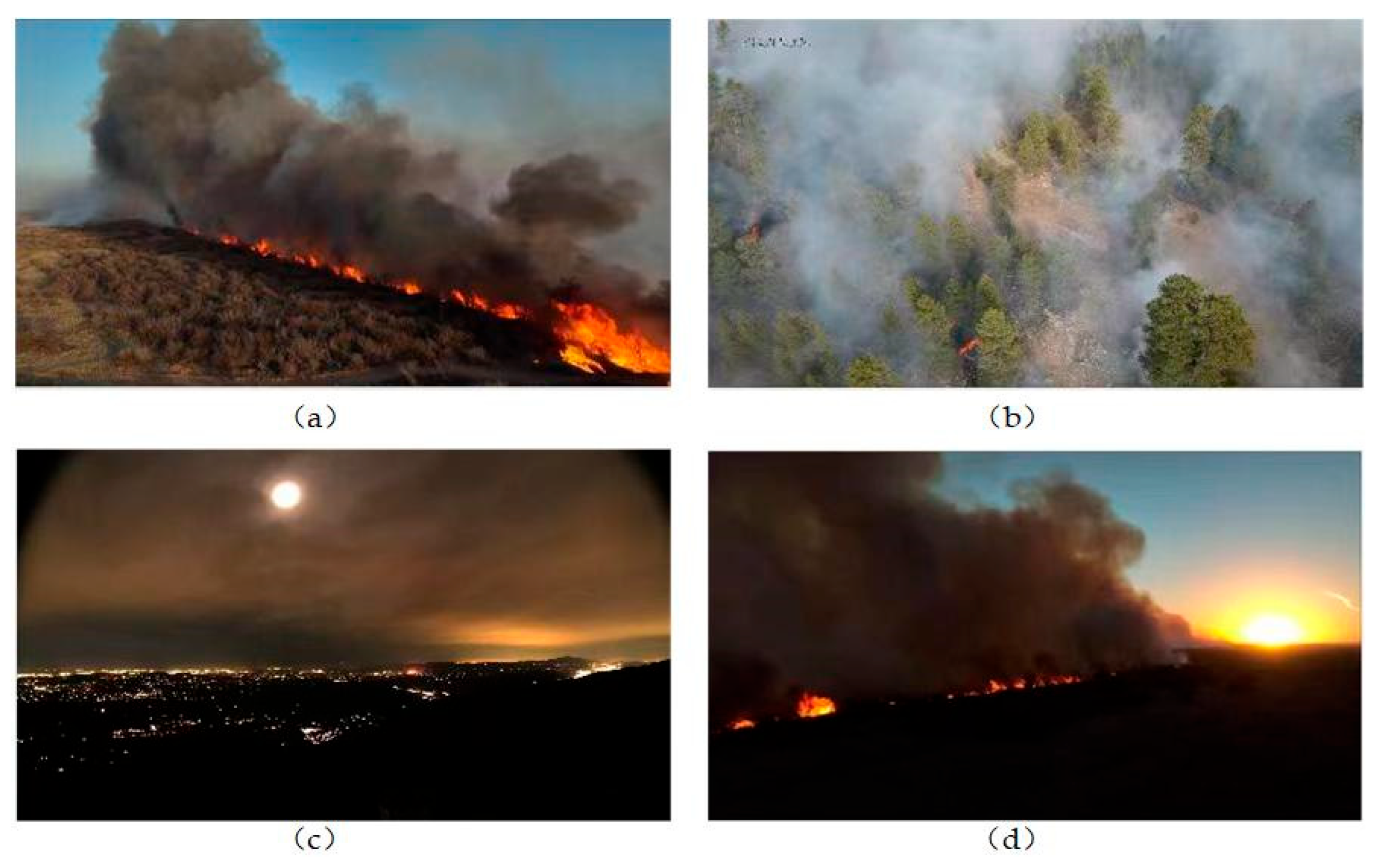 Forests 16 01613 g001