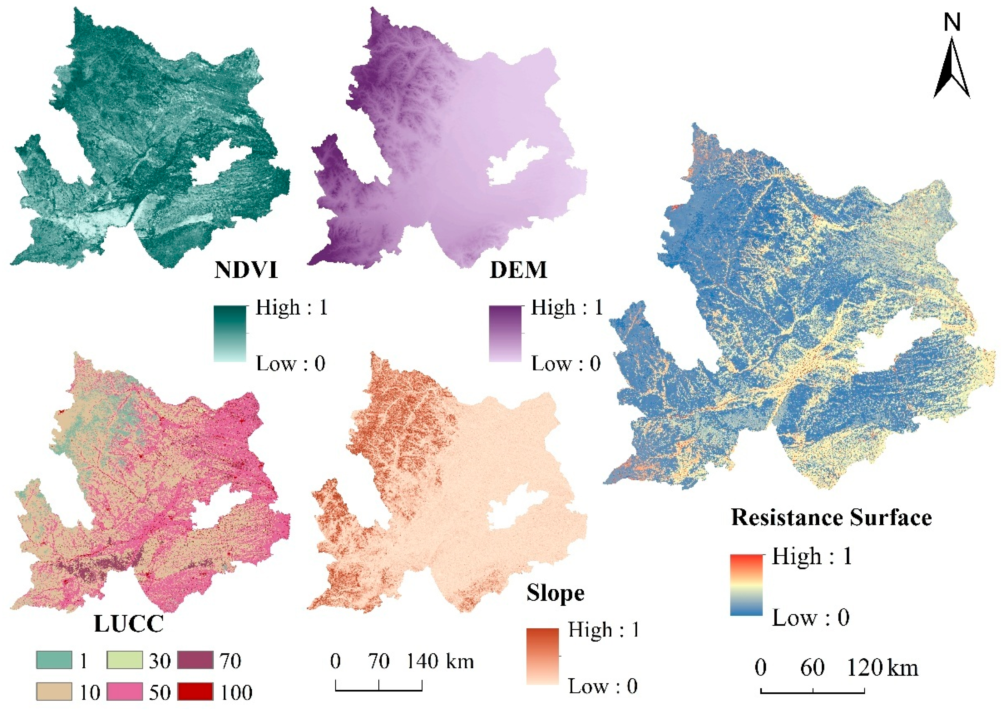 Forests 16 01616 g007 Forests 16 01616 g007