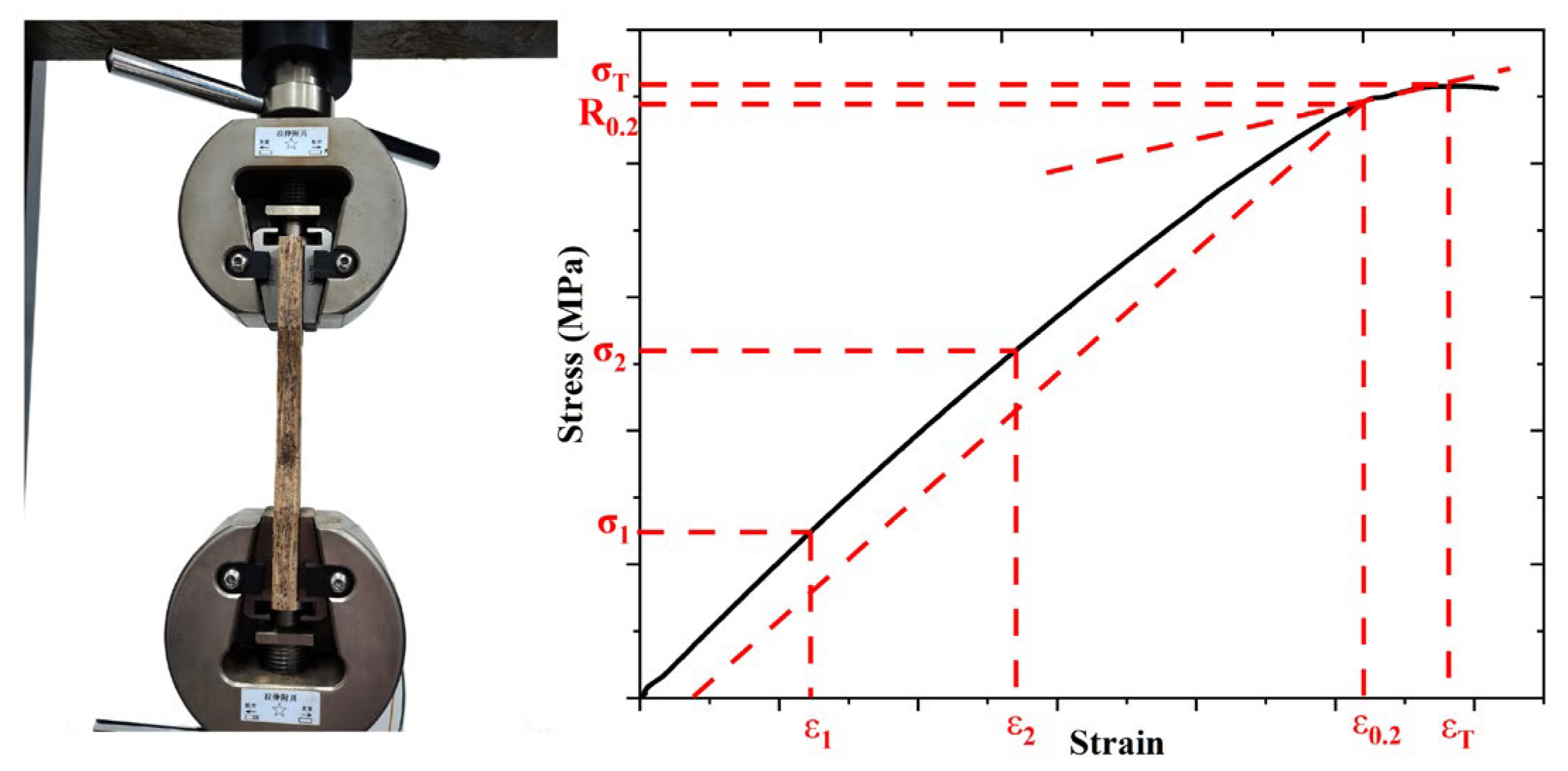 Forests 16 01623 g003 Forests 16 01623 g003