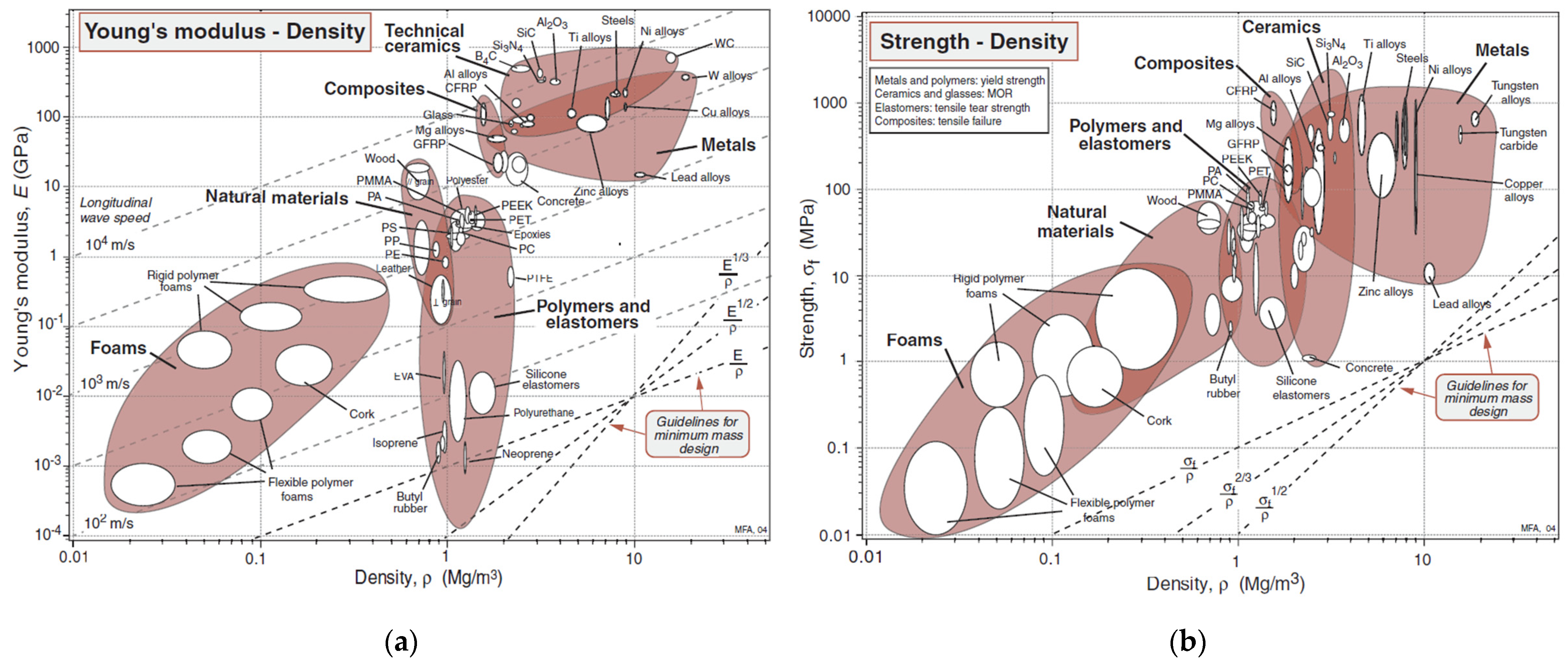 Forests 16 01630 g001