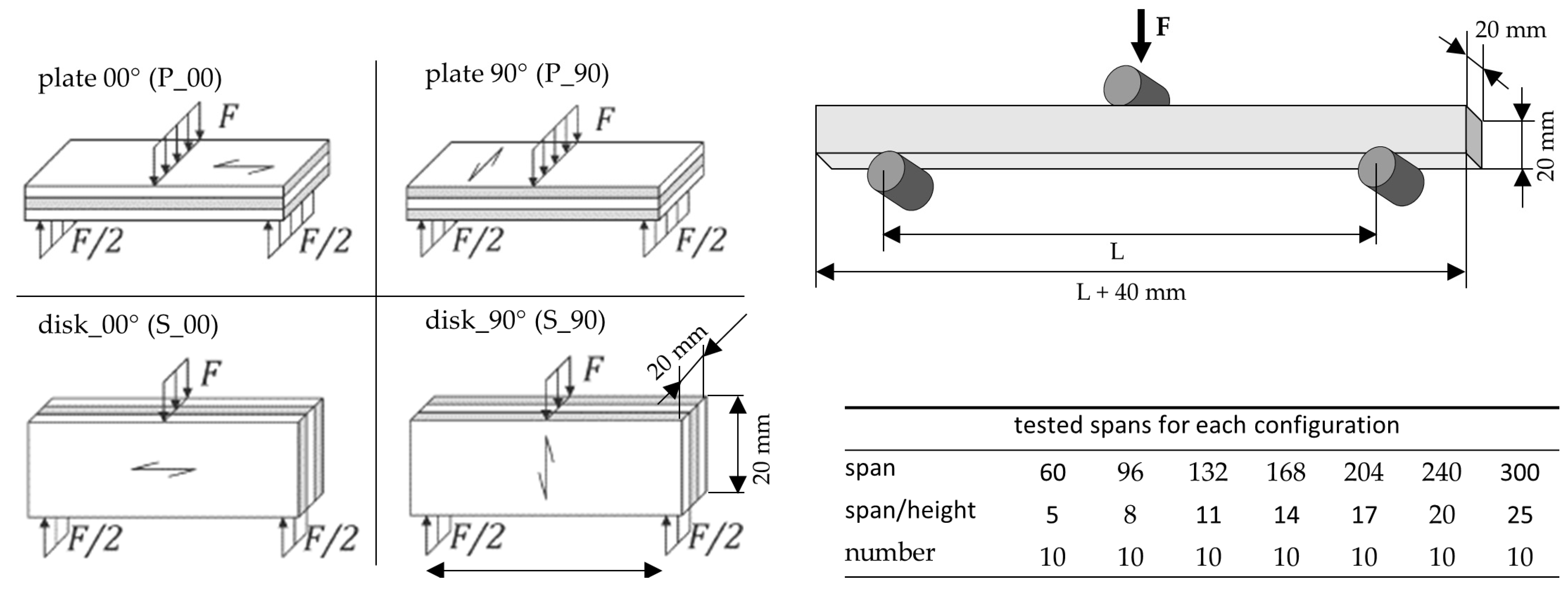 Forests 16 01630 g002