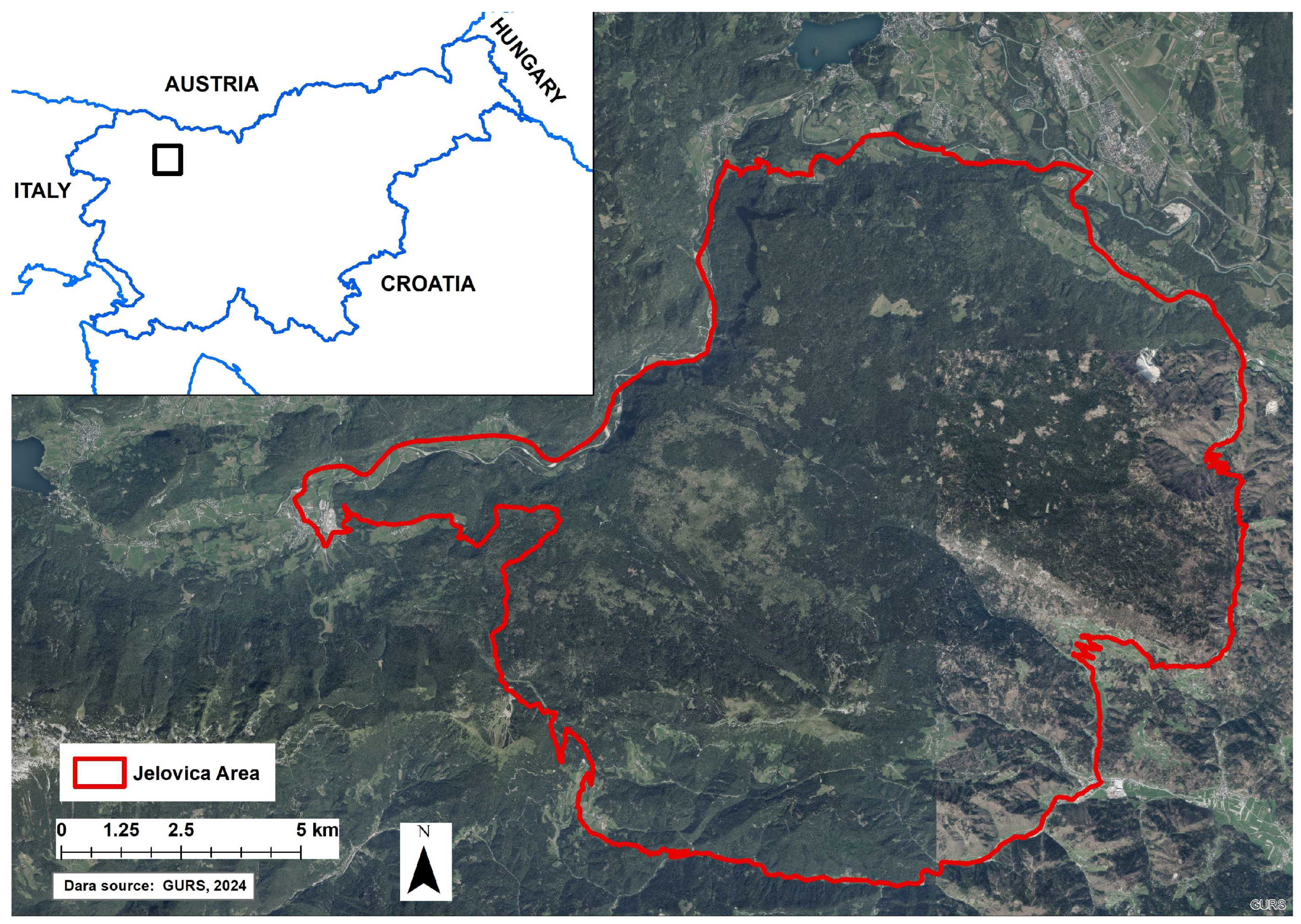 Forests 16 01631 g001