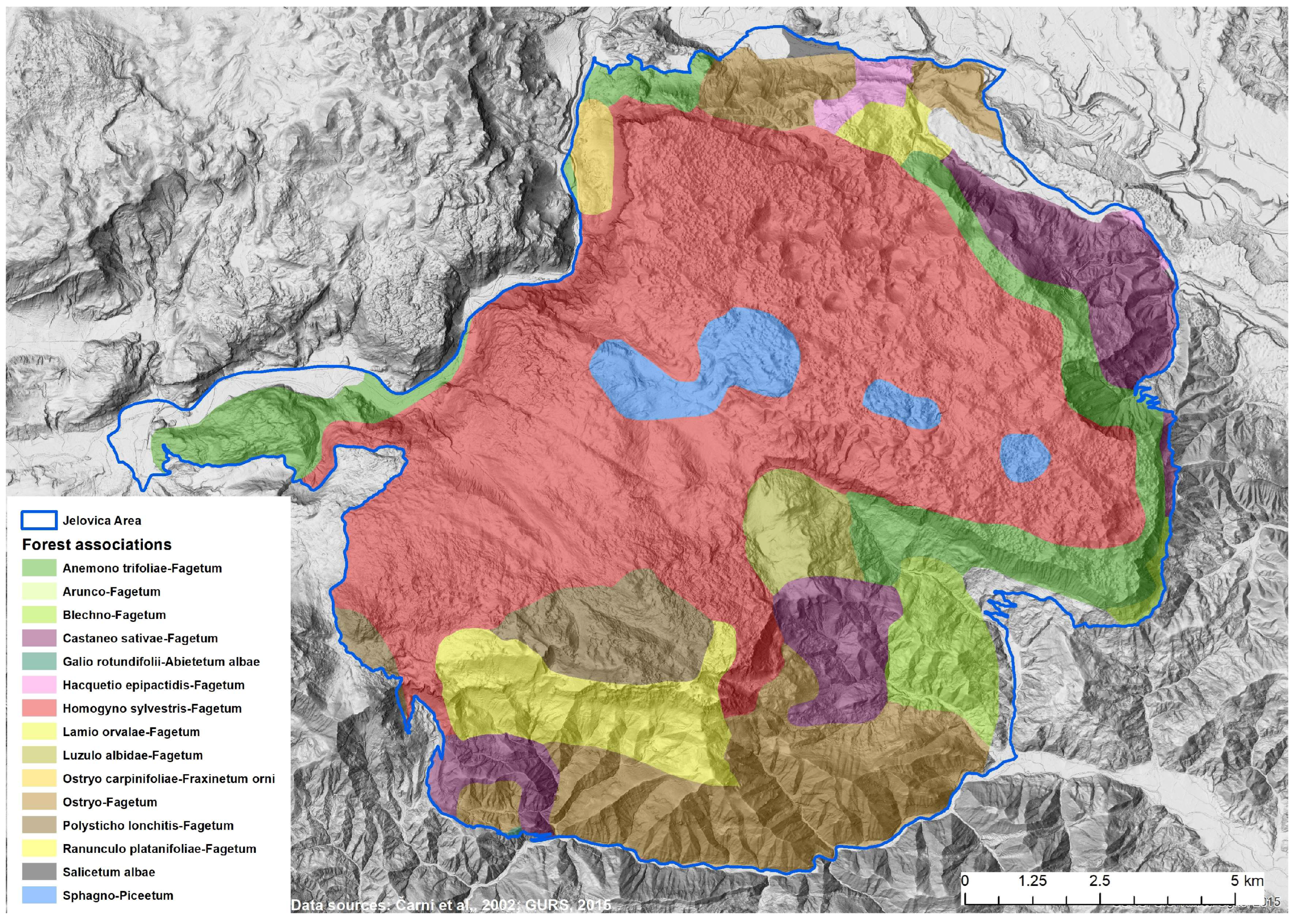 Forests 16 01631 g002