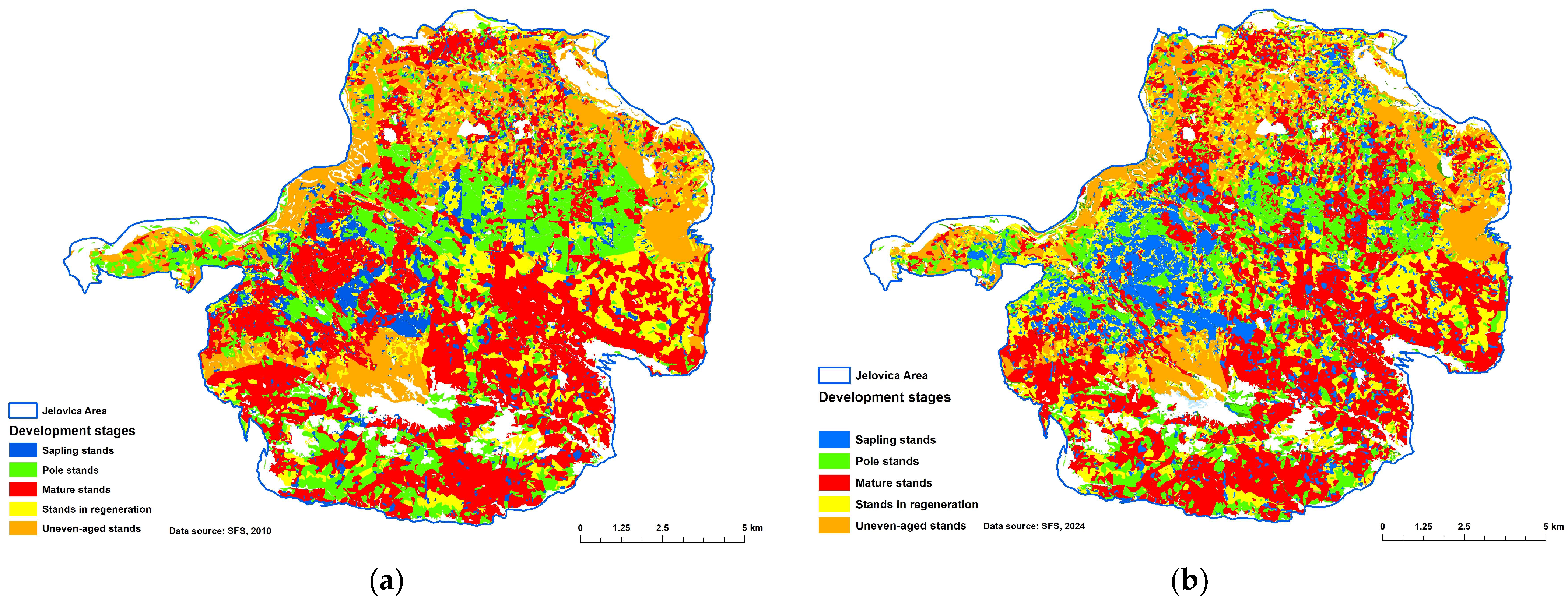 Forests 16 01631 g006