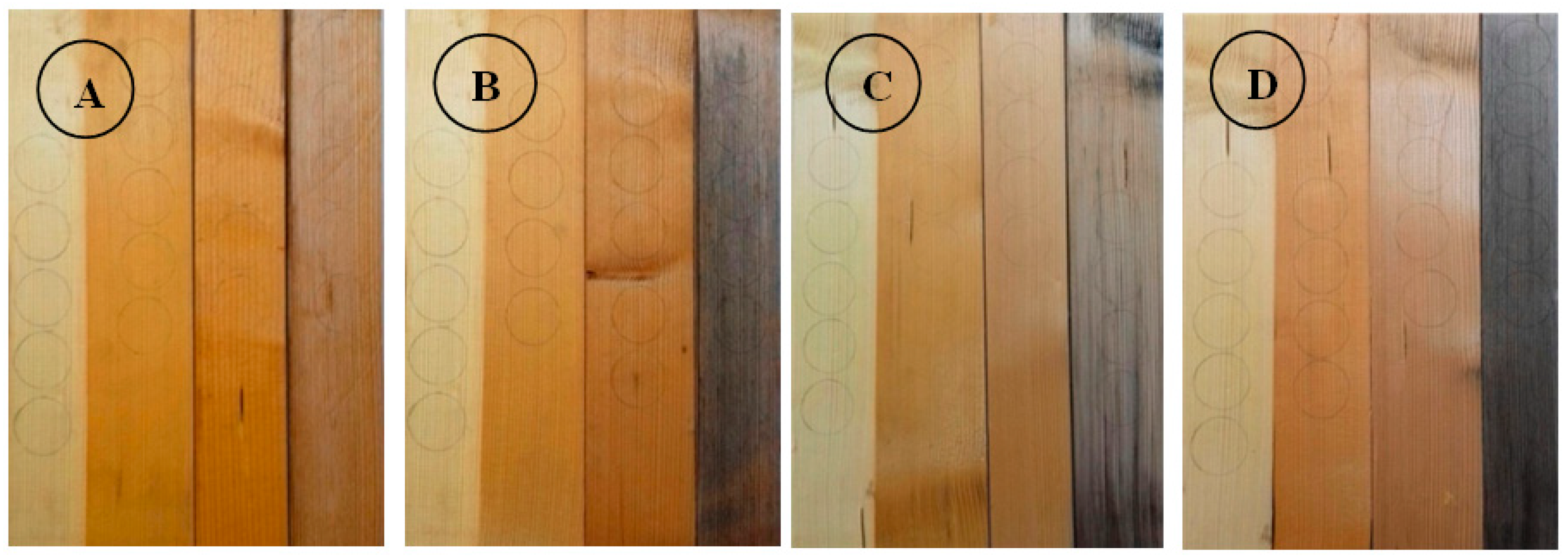 Forests 16 01638 g009 Forests 16 01638 g009