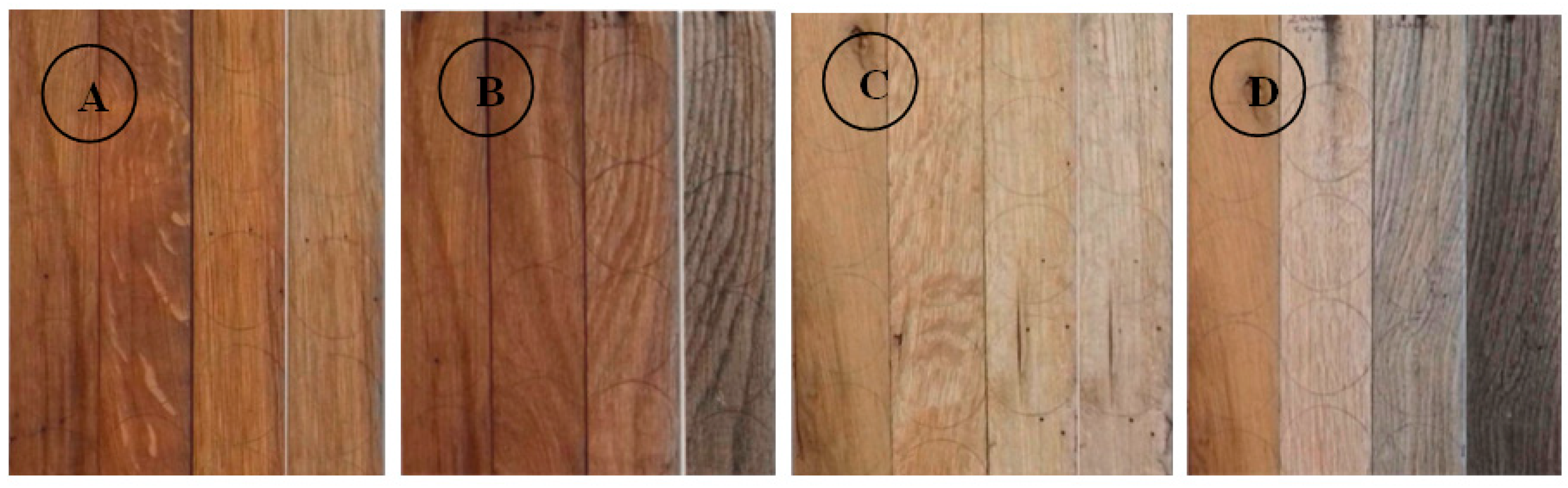 Forests 16 01638 g010 Forests 16 01638 g010