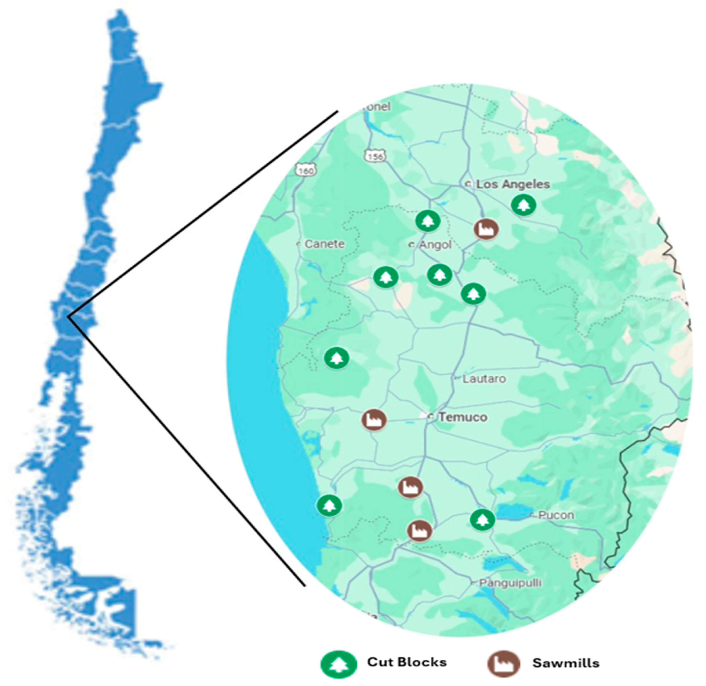 Forests 16 01644 g001