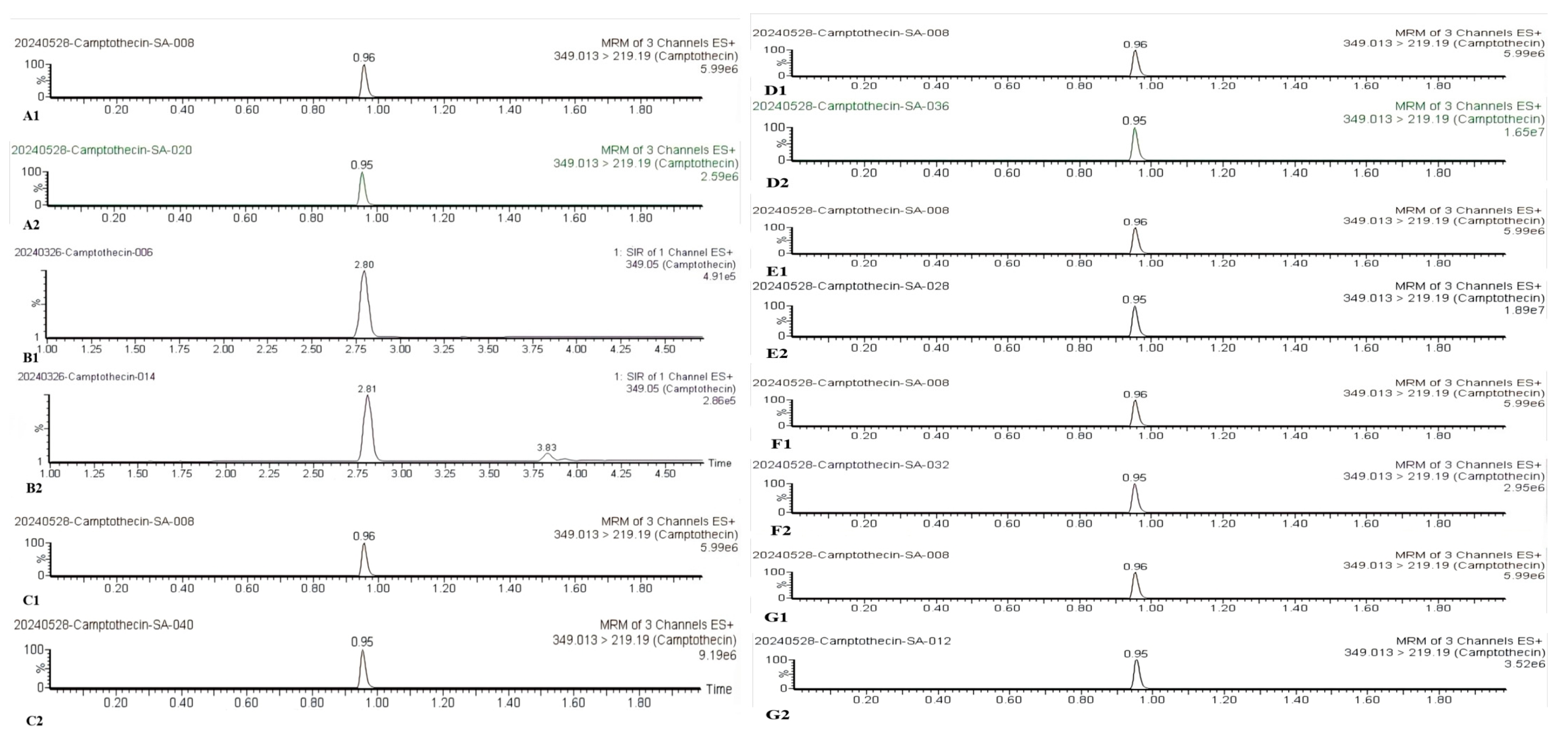 Forests 16 01646 g006