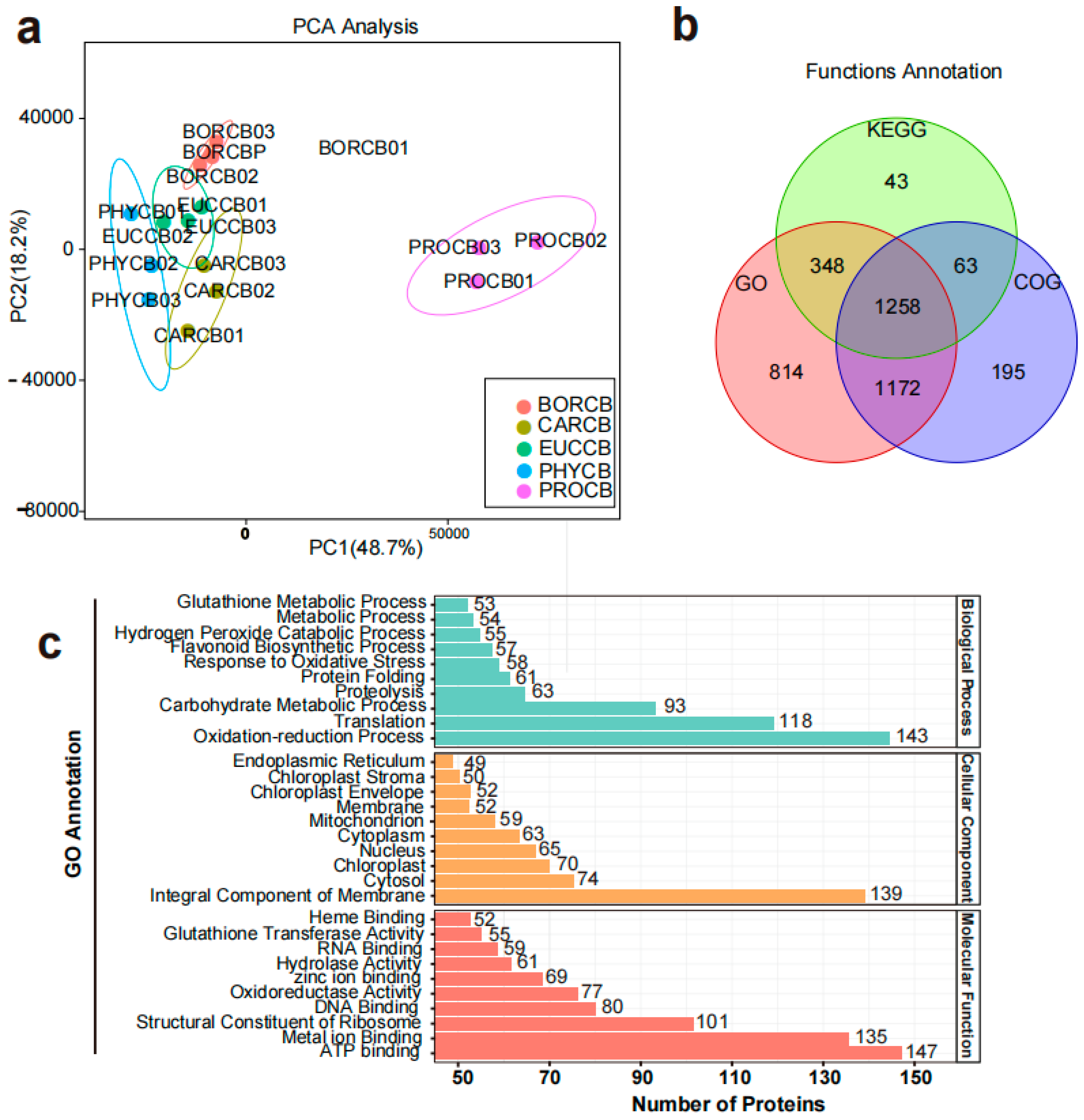 Forests 16 01647 g002