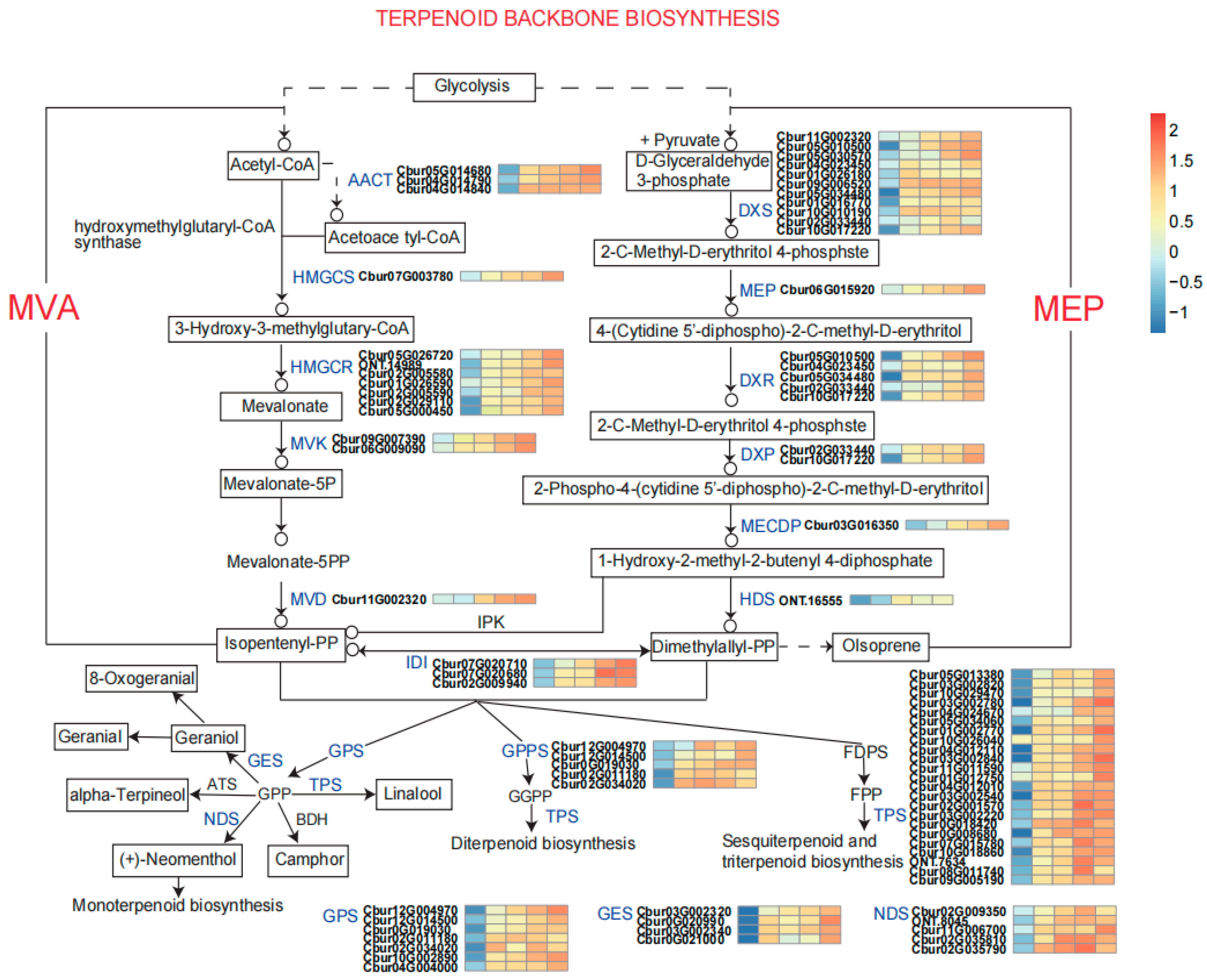 Forests 16 01647 g003