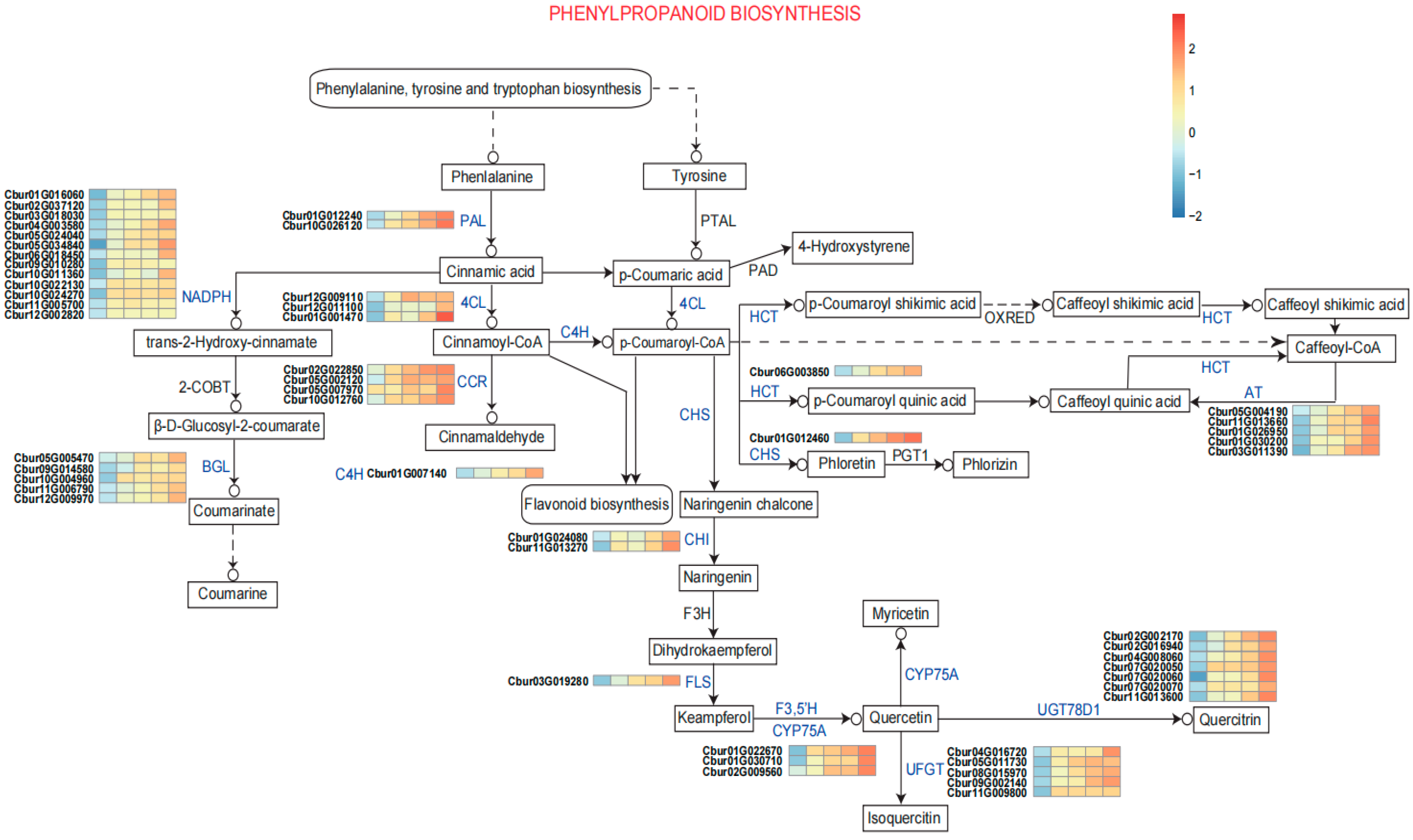 Forests 16 01647 g004