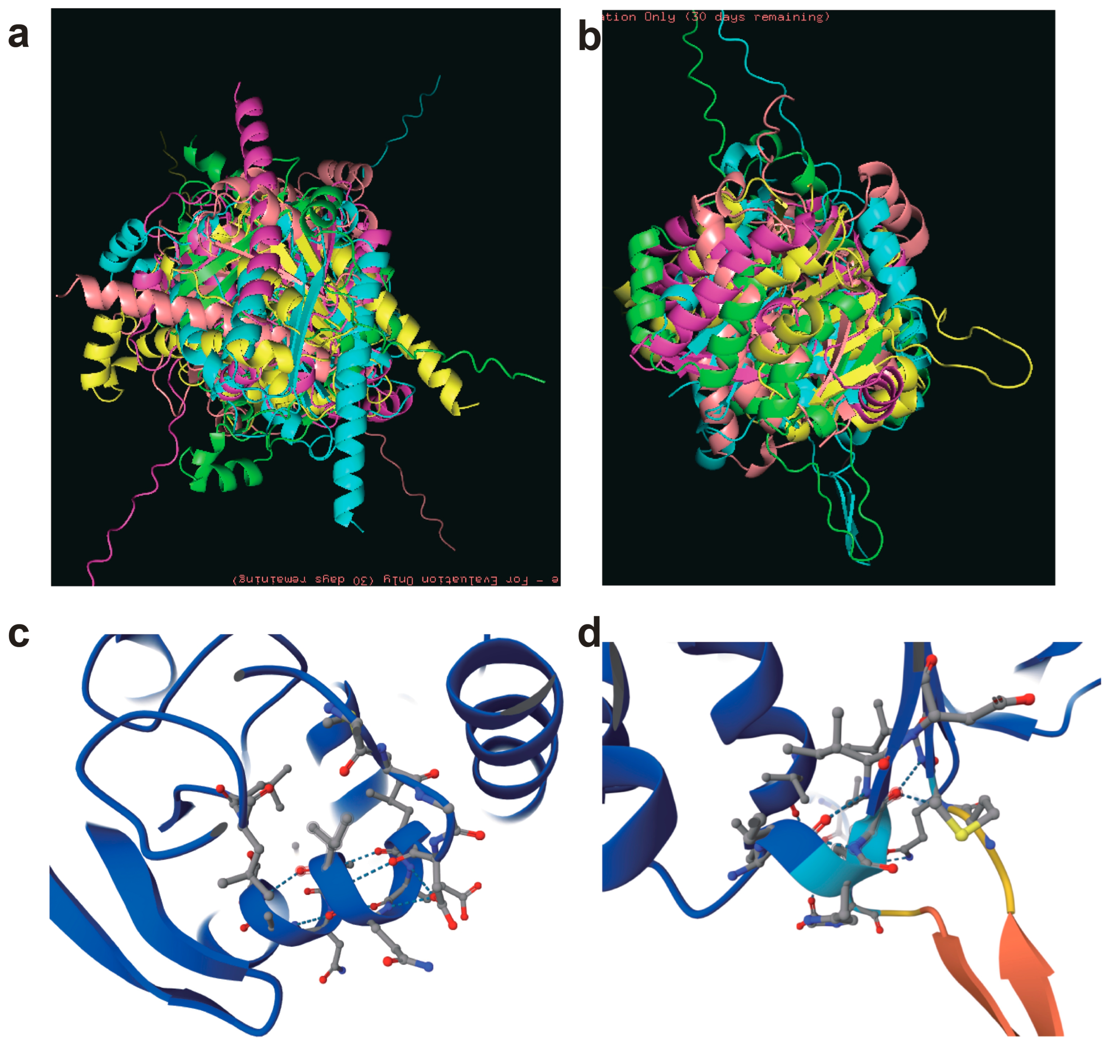 Forests 16 01647 g006