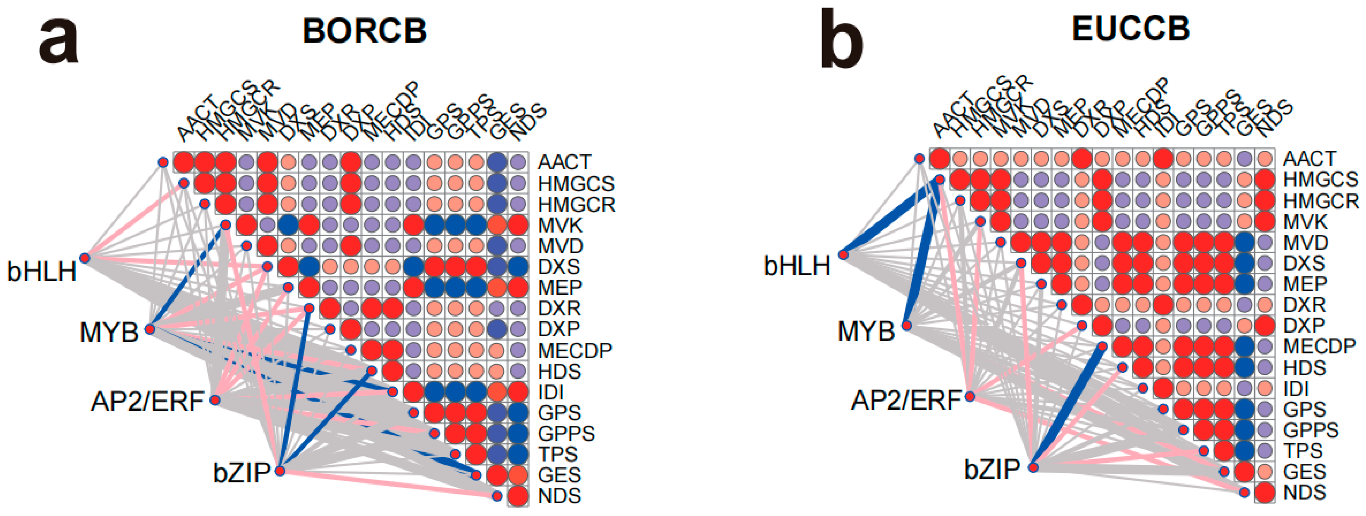 Forests 16 01647 g007a