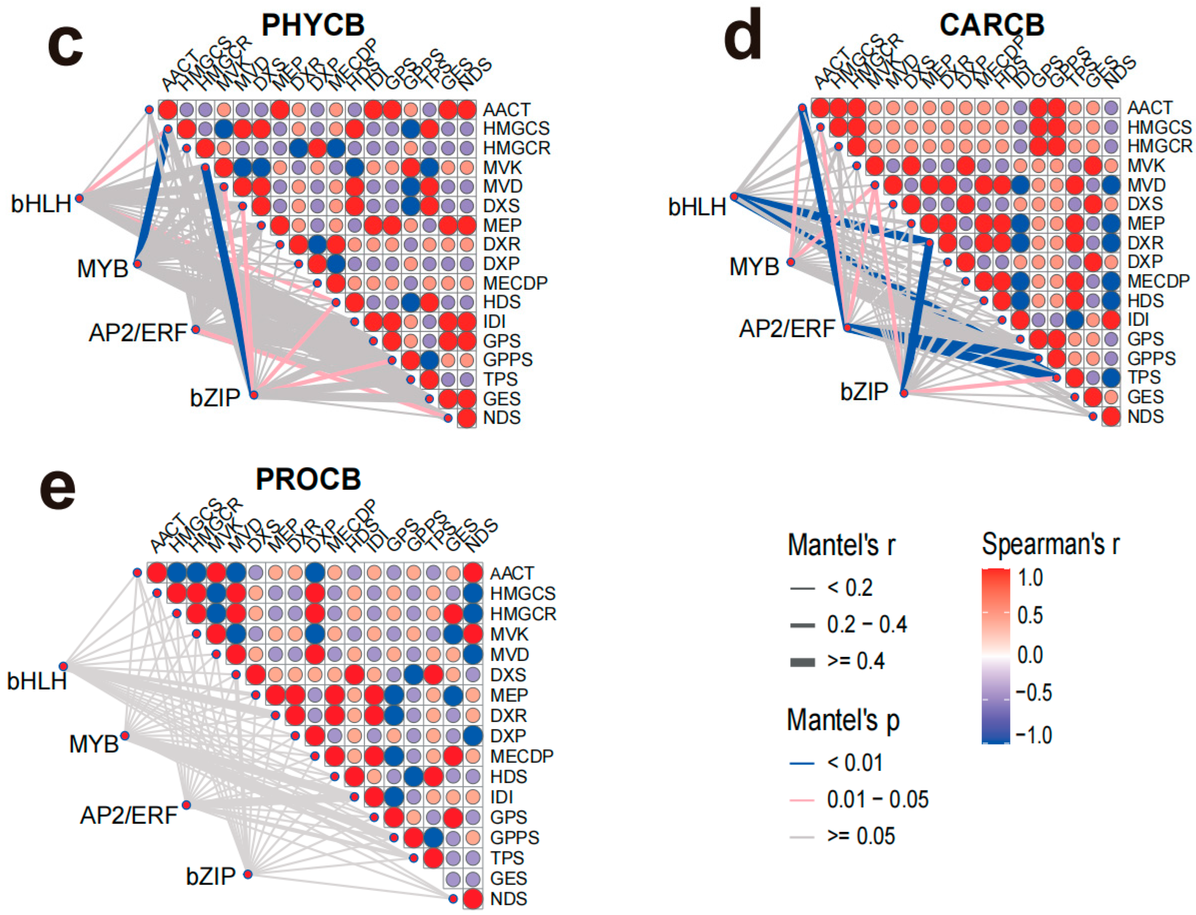Forests 16 01647 g007b