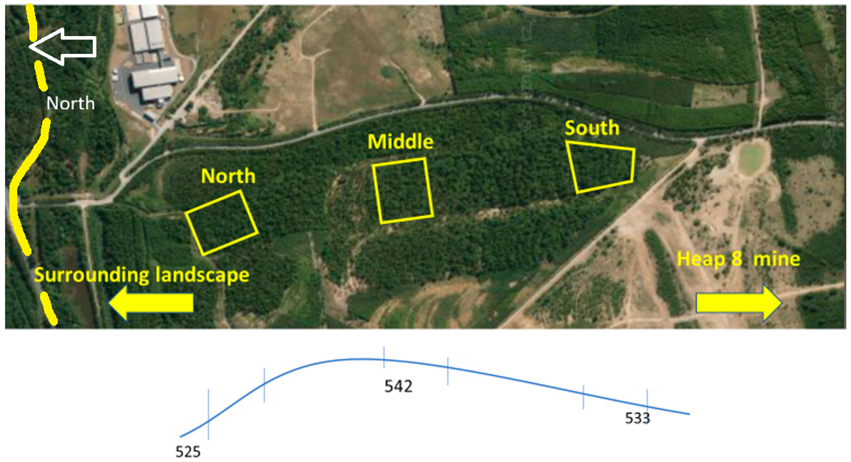 Forests 16 01651 g001 Forests 16 01651 g001