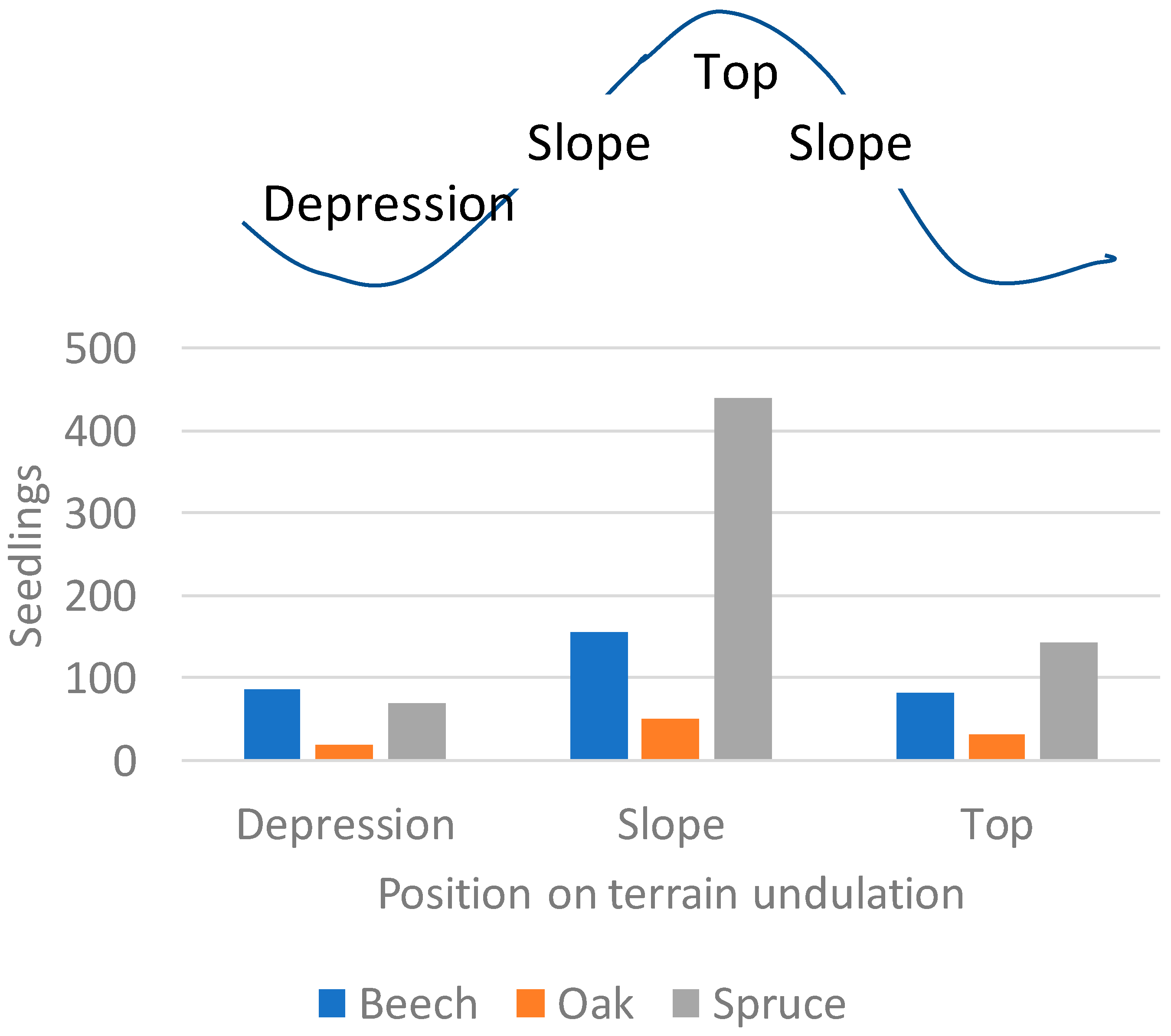 Forests 16 01651 g003 Forests 16 01651 g003
