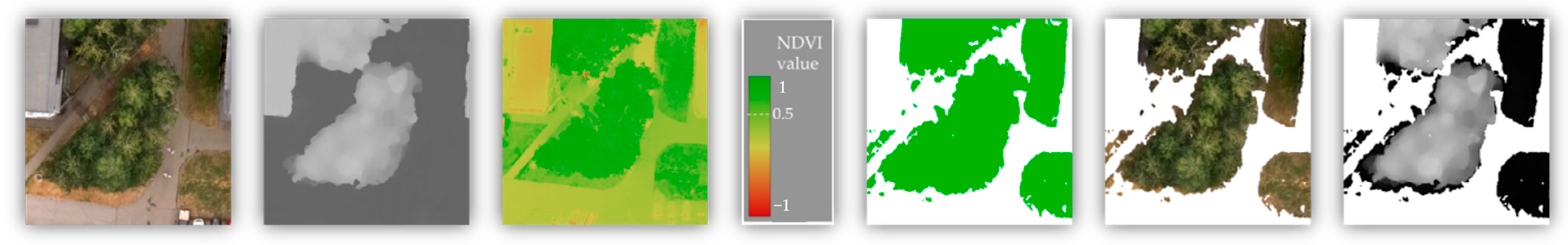Forests 16 01655 g003