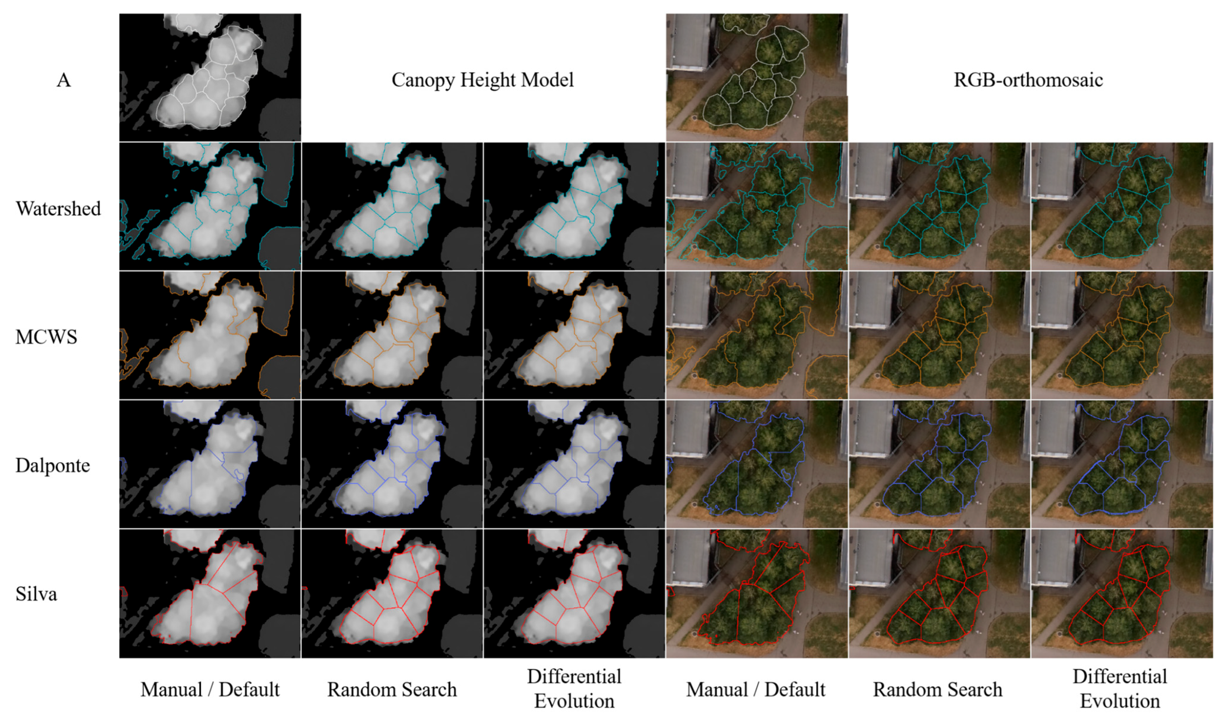Forests 16 01655 g006