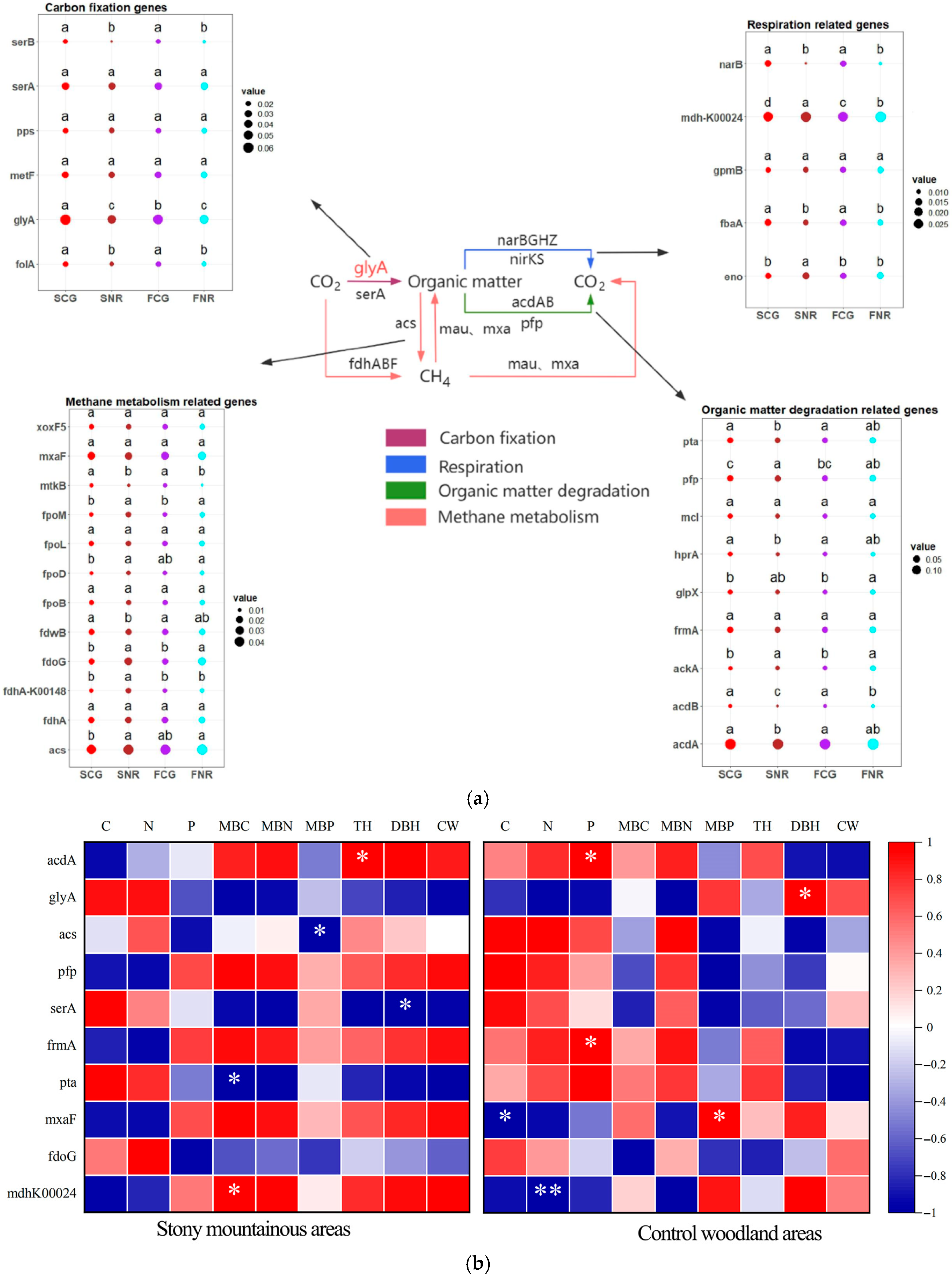 Forests 16 01656 g003 Forests 16 01656 g003