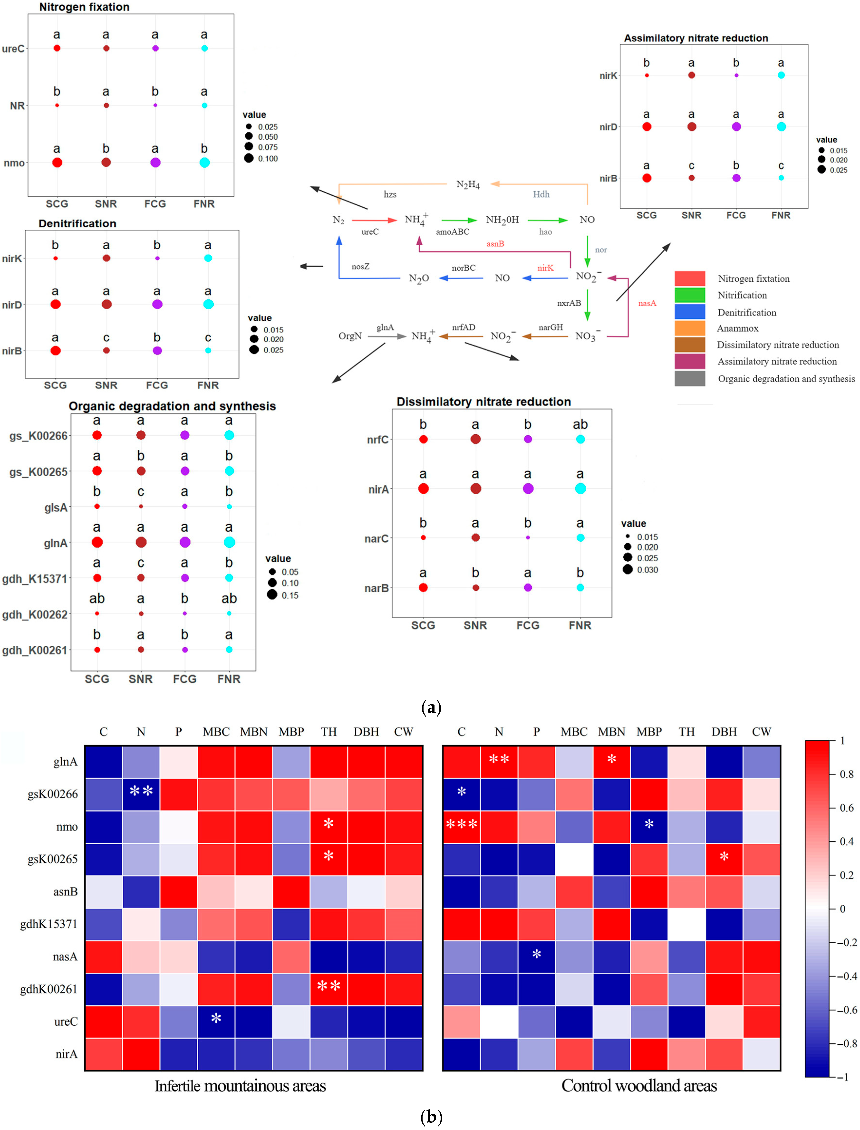 Forests 16 01656 g004 Forests 16 01656 g004