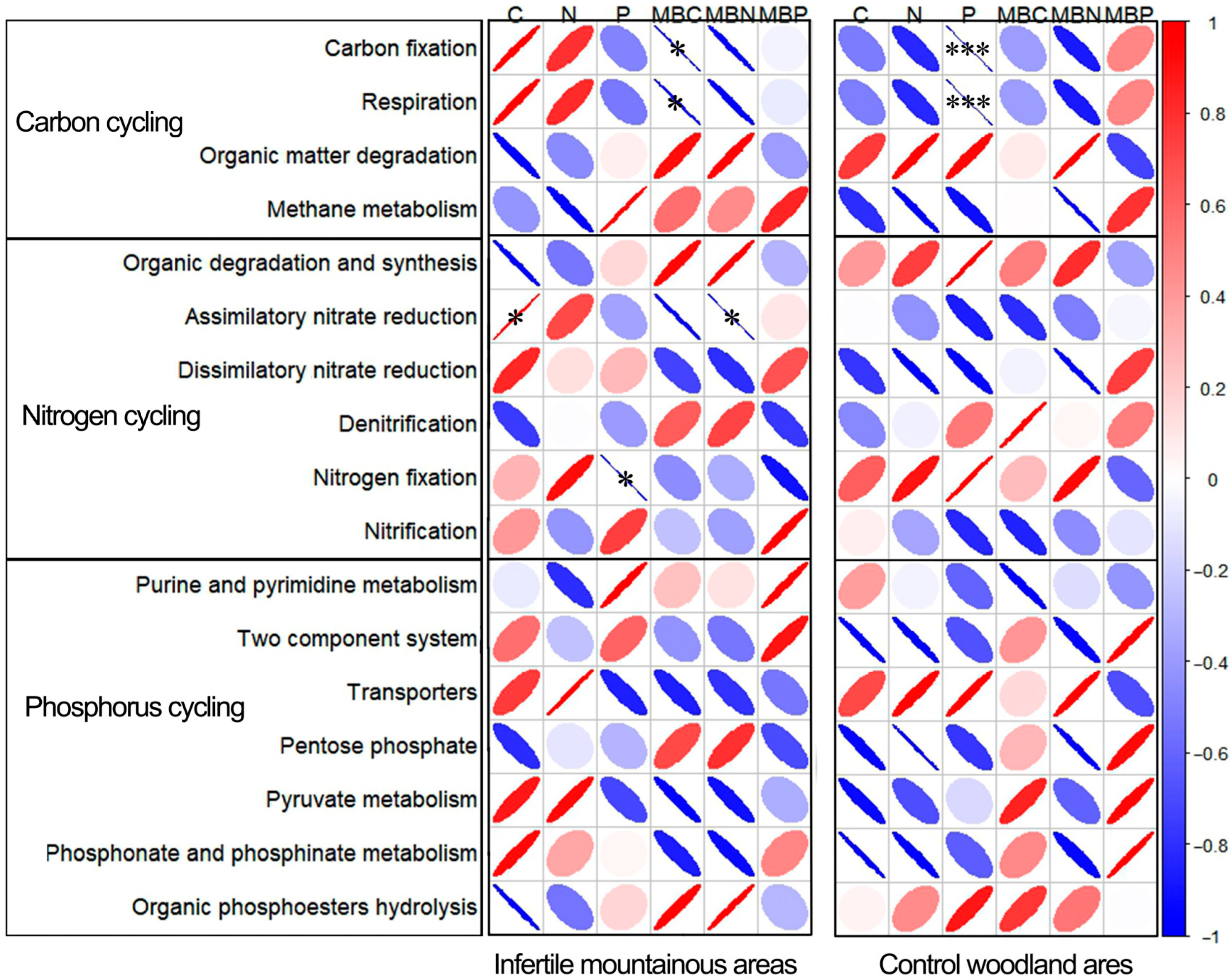 Forests 16 01656 g006 Forests 16 01656 g006
