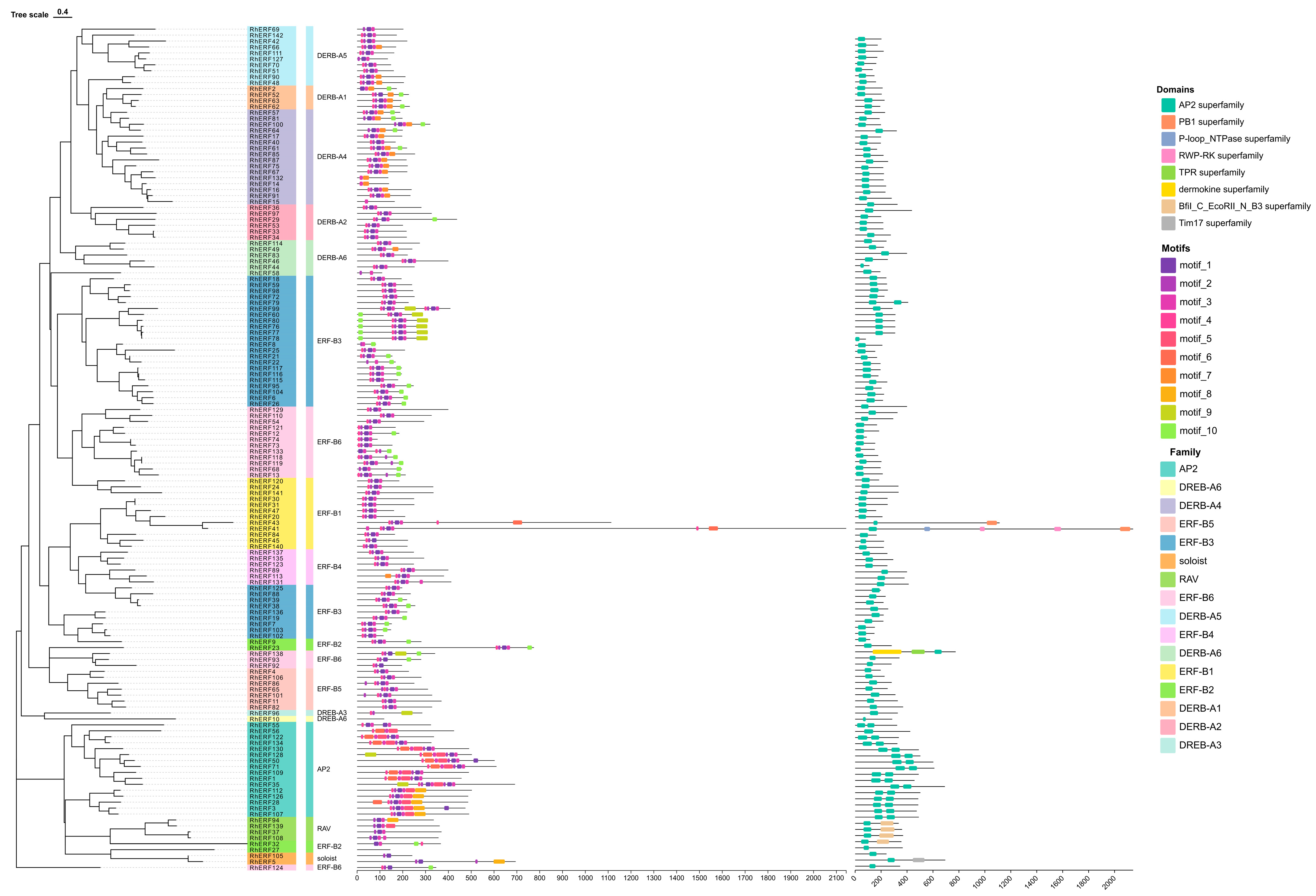 Forests 16 01657 g001