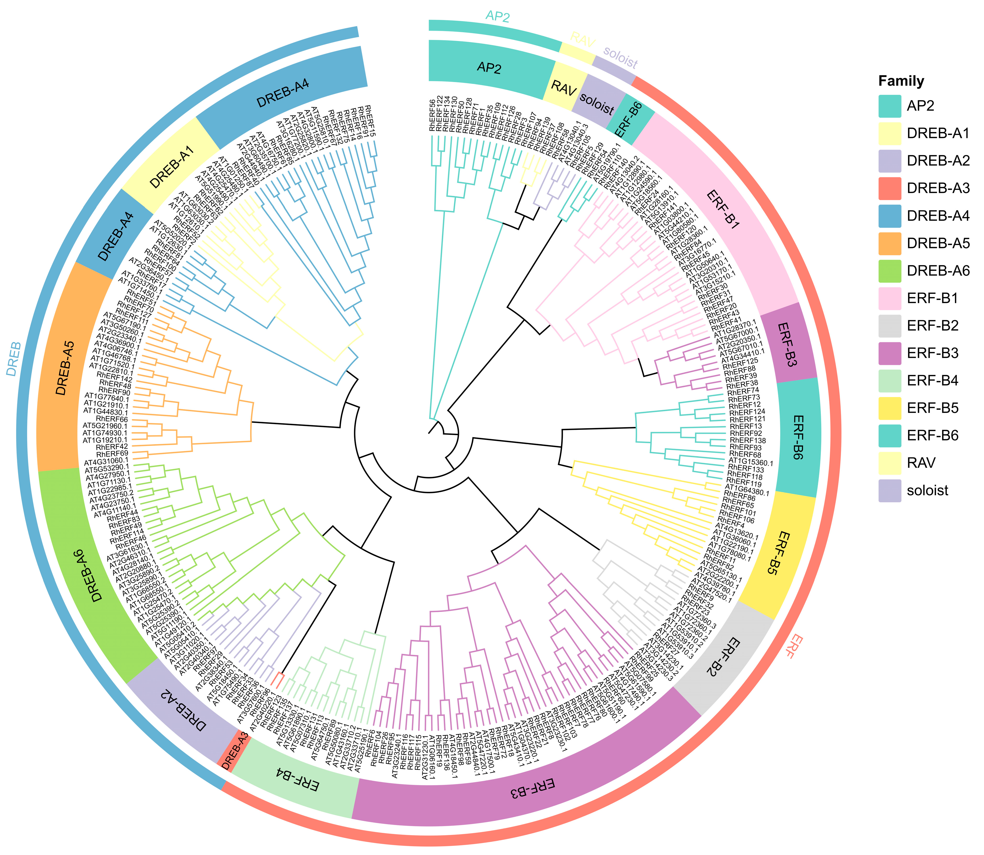 Forests 16 01657 g002