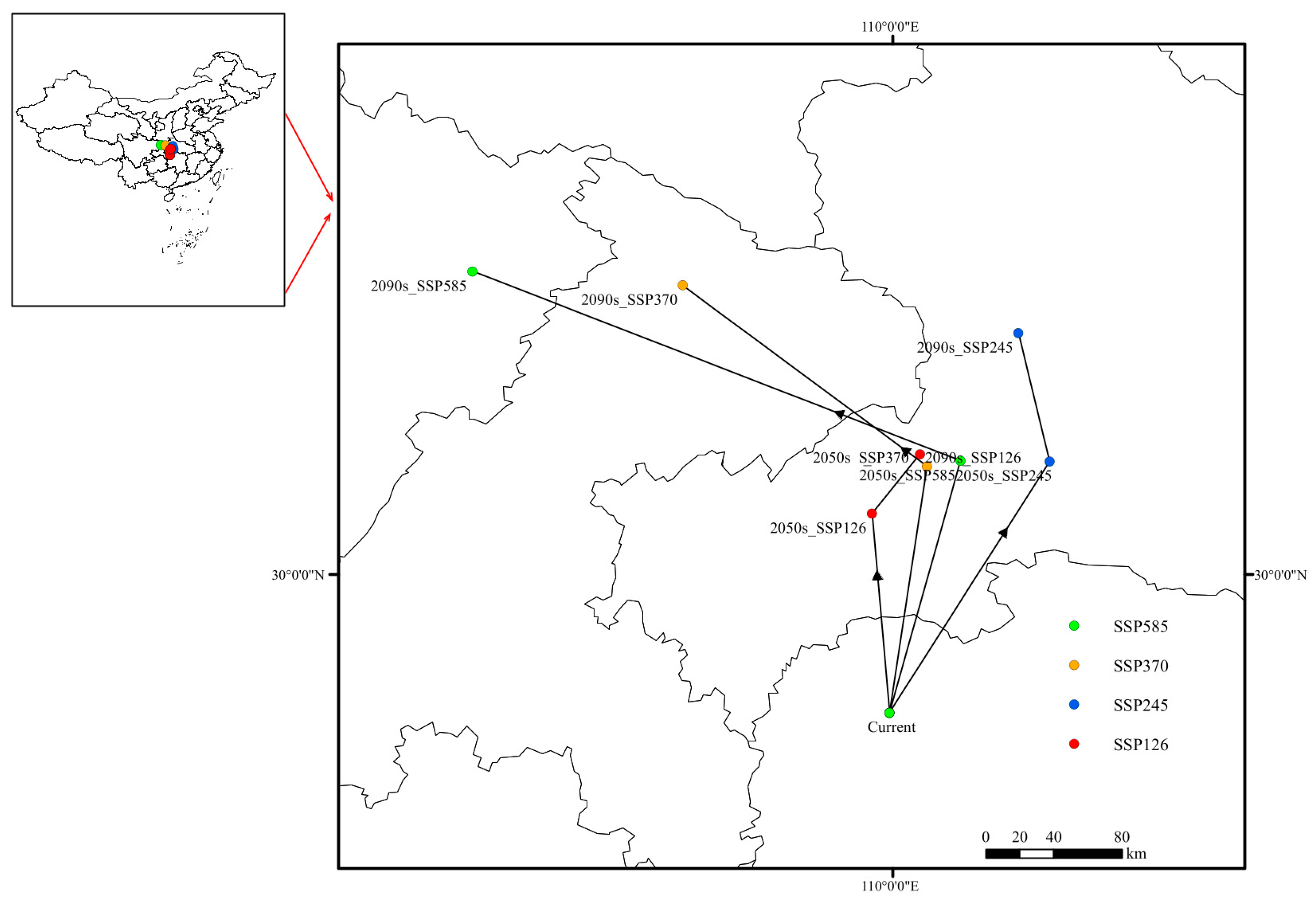 Forests 16 01662 g010 Forests 16 01662 g010